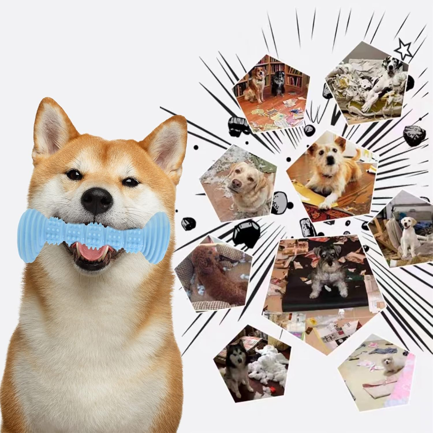 Pack of 2 Dog Chew Toy, 13 Cm Hard Rubber Chew Toy with Convex Design for Small and Medium Dogs, Teeth Cleaning and Gums, Dog Toothbrush, Dog Accessories for Dogs (Blue + Pink) image number 5