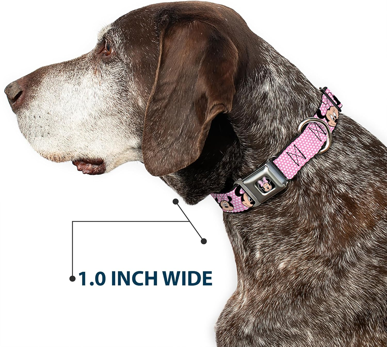 Buckle-Down Seatbelt Buckle Dog Collar - Minnie Mouse Expressions Polka Dot Pink/White - 1" Wide - Fits 9-15" Neck - Small image number 5