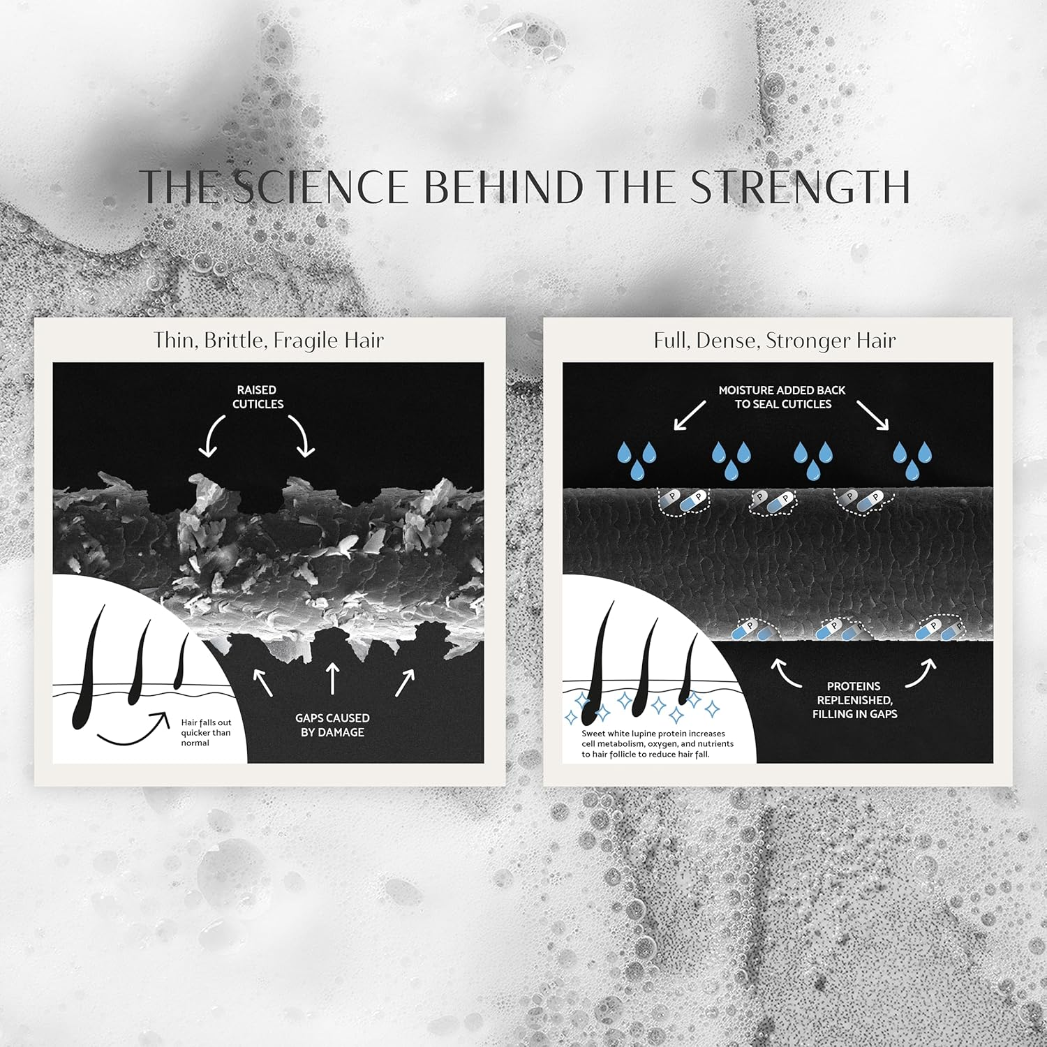 Percy & Reed Give Me Strength Strengthening Shampoo - Reduces Breakage after Single Use, Deeply Moisturises, Builds Thickness. Free from Parabens, Sulphates & Silicones. UV Protection - 250Ml image number 2