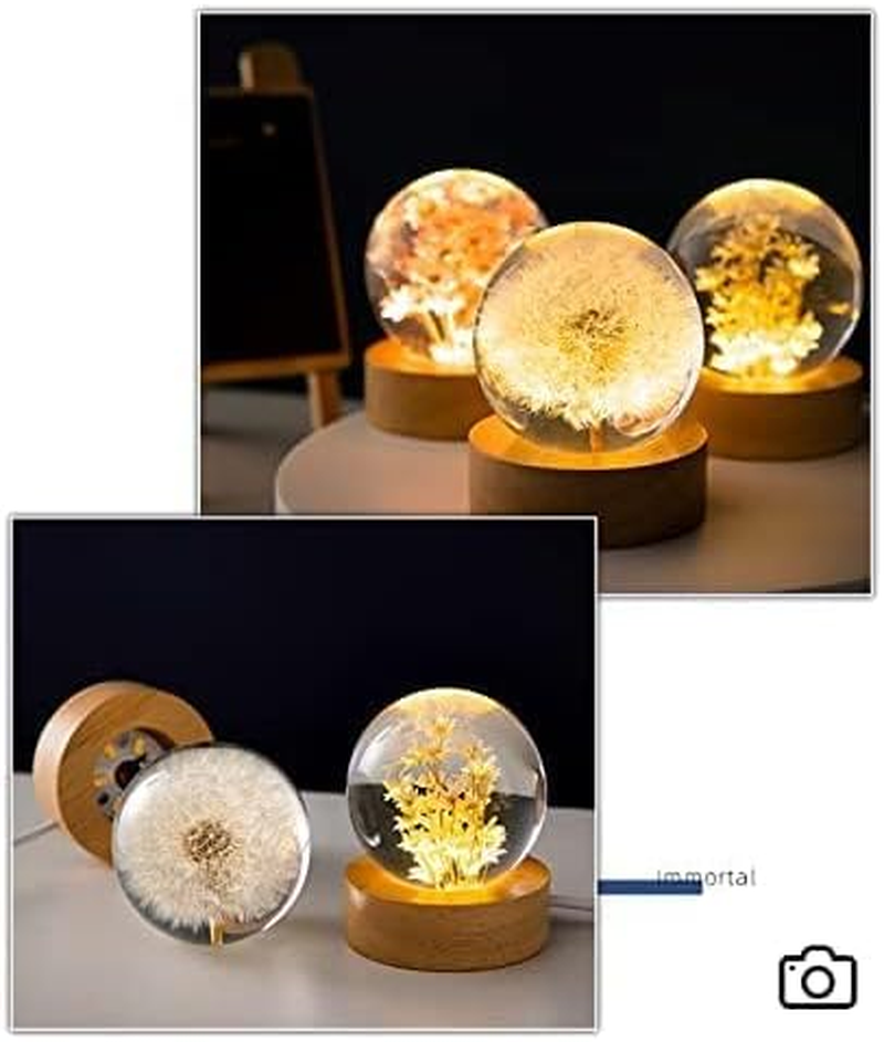 MARZIUS Flower Crystal Ball Night Light,2.4 Inch Glass Ball Night Lamp with Woodern Base (Red Daisy)