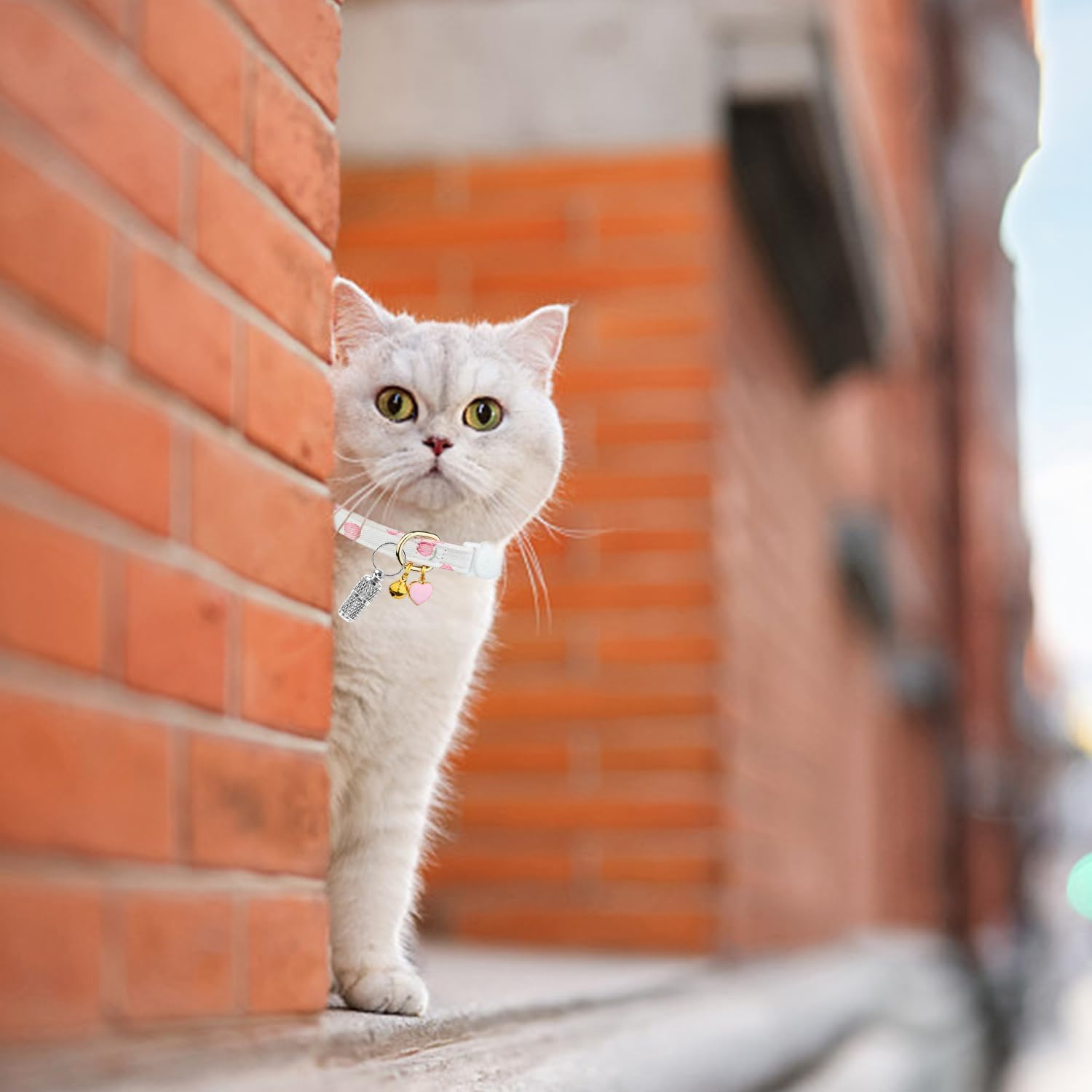 QIXNBL Pack of 2 Cat Collars and 2 Pieces Identity Pendants, Collars with Fruit Print, with Safety Buckle Design, Fashionable Collars, Cute Pets on the Road. image number 1