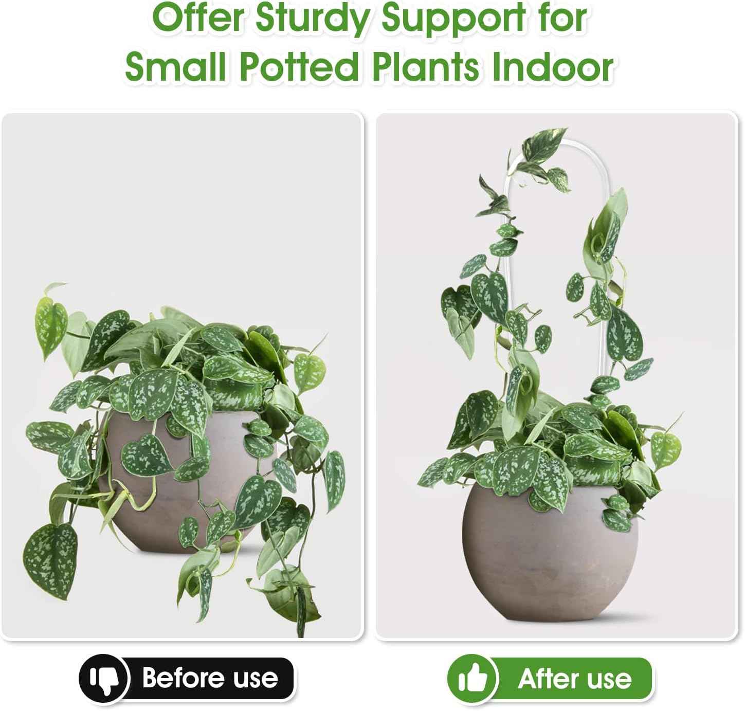 2 Pack U-Shaped Clear Acrylic Trellis for Indoor Plants, Small Plant Support for Potted Climbing Vines, Hoya, Ivy - Indoor Outdoor Use