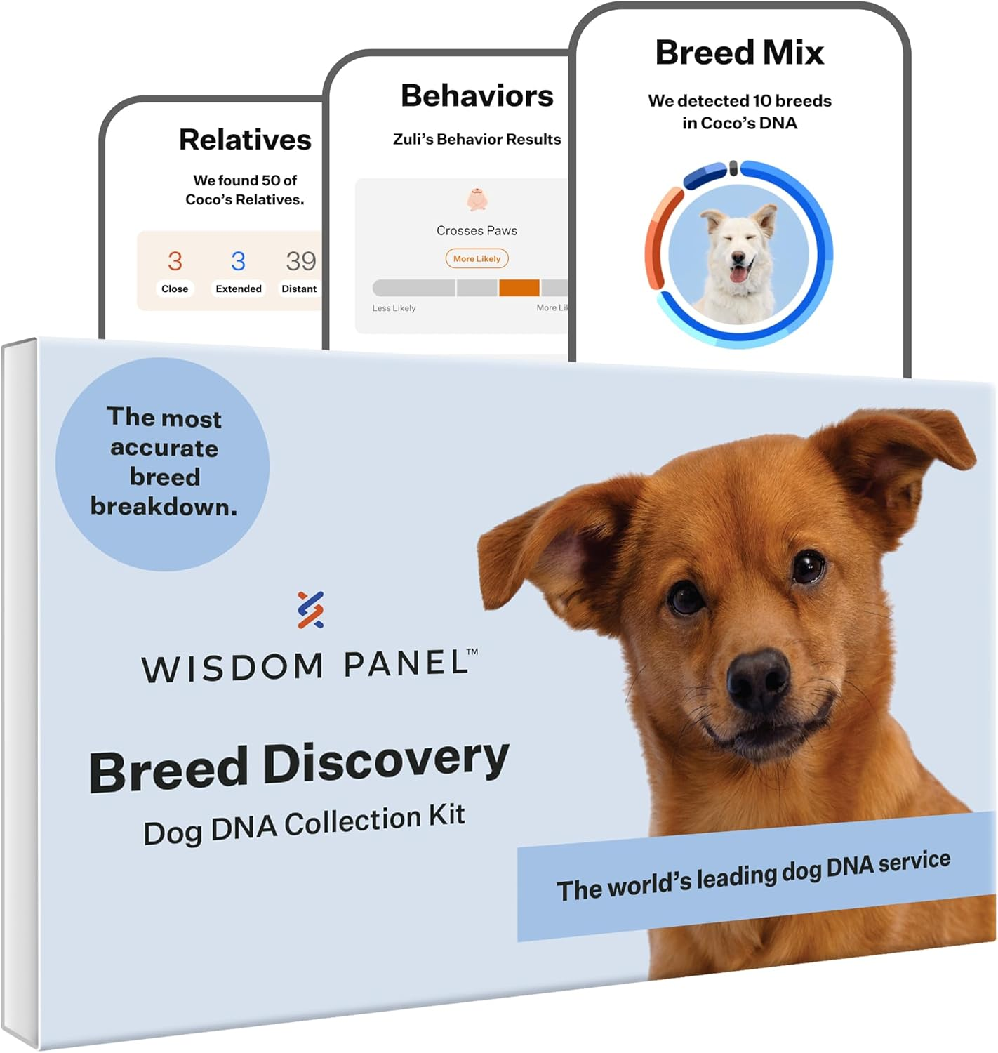 Wisdom Panel Breed Discovery Dog DNA Kit: Most Accurate Dog Breed Identification, Test for 365+ Breeds, MDR1 Health Test, Ancestry, Relatives image number 1