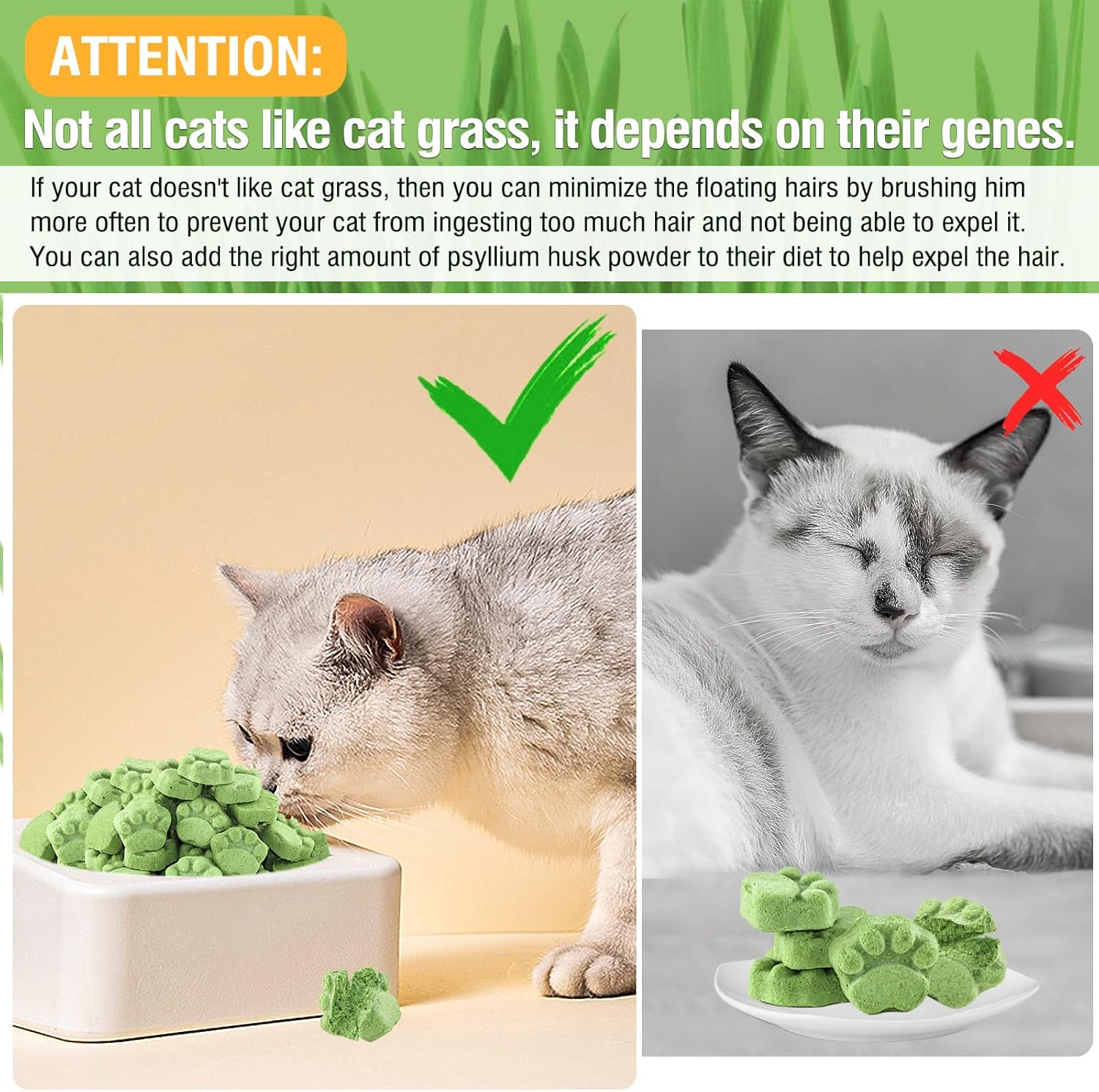 Cat Grass Teething Sticks, 50G Edible Freezed Drying Cat Grass Treats, Cats Snack for Hairball Removal and Dental Care image number 5