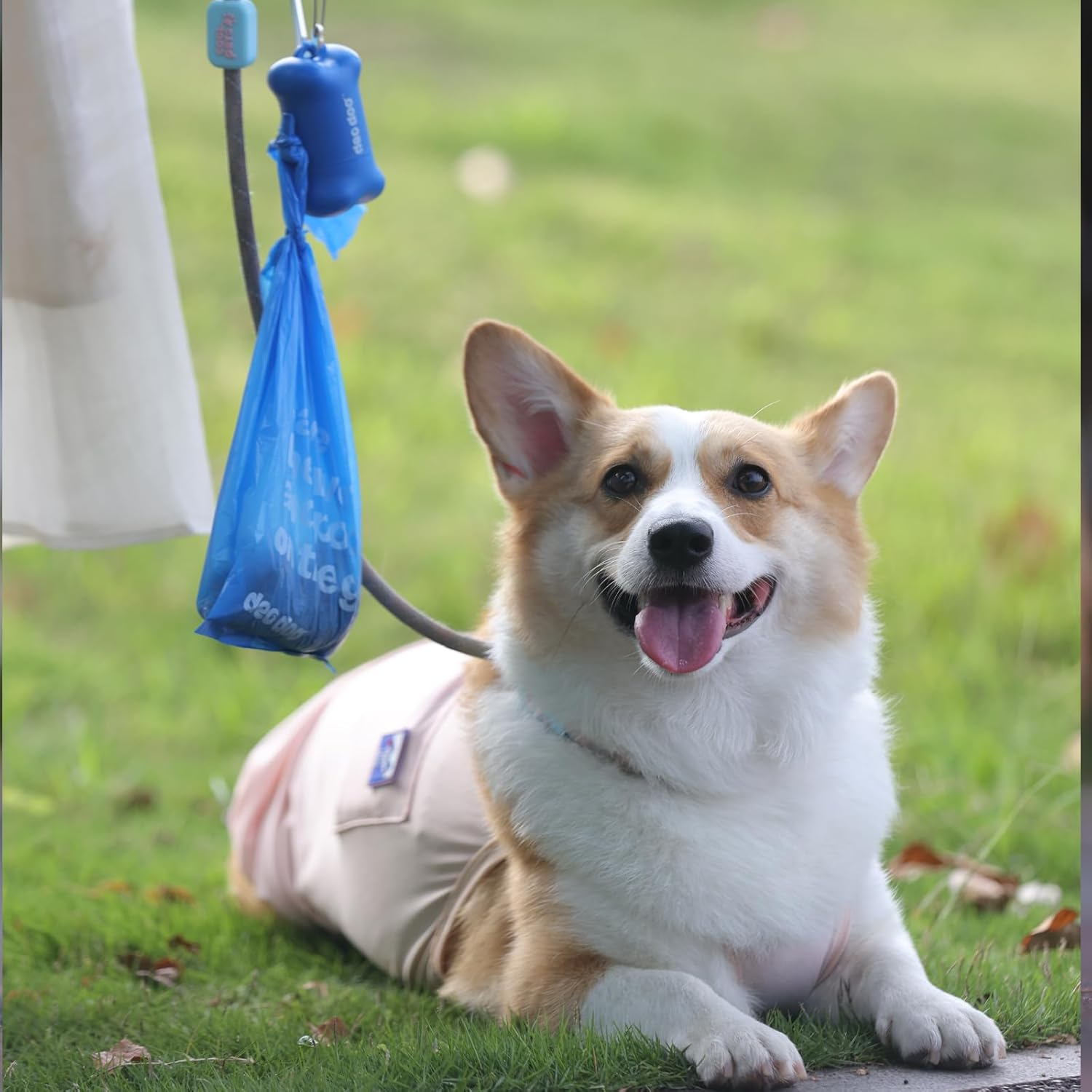 Deo Doo Dog Poop Bags with Handles 9 Rolls 108 Counts Big Sizes Leak Proof and Extra Thick Waste Bags Refill Rolls for Walking Small Medium Large Dogs Cats Litter with Holder Iris Scented image number 1