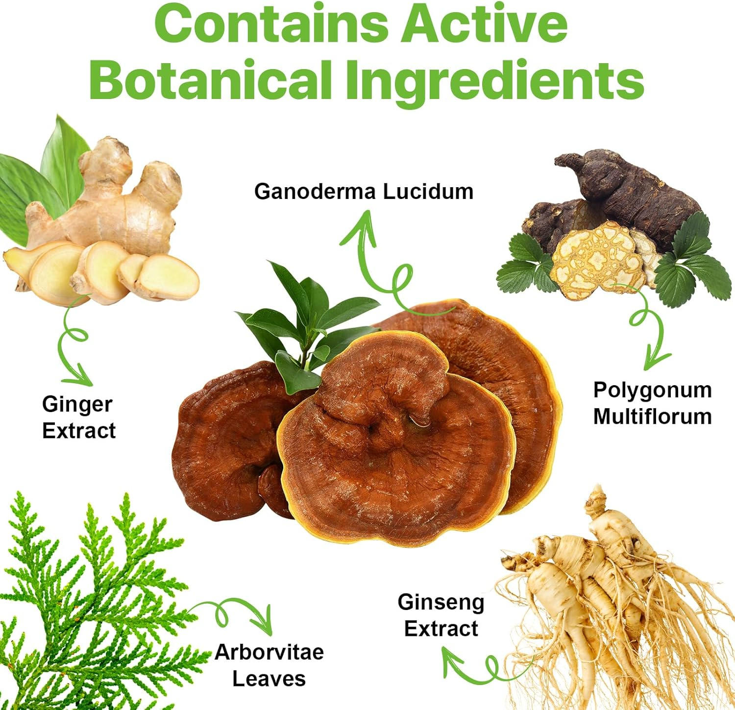 Black Hair Dye Shampoo 3 in 1, Natural Black Shampoo Hair Dye for Men and Women, Grey Hair, Easy to Use, 500Ml image number 6