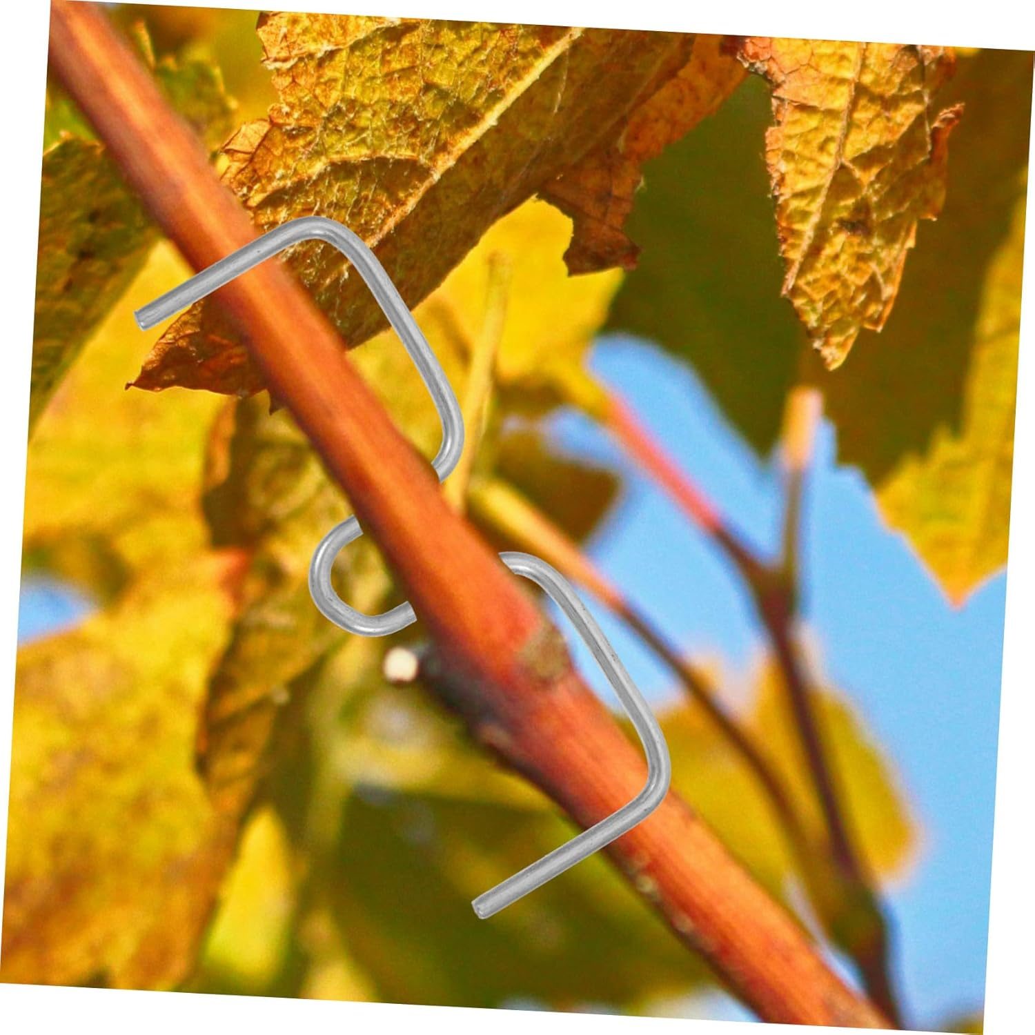 JOINPAYA Plant Branch Spreader and Bending Clamps for Fruit Trees Gardening 8Cm M-Shaped Branch Fixing Tools 50 Pieces for Tree Shaping and Support