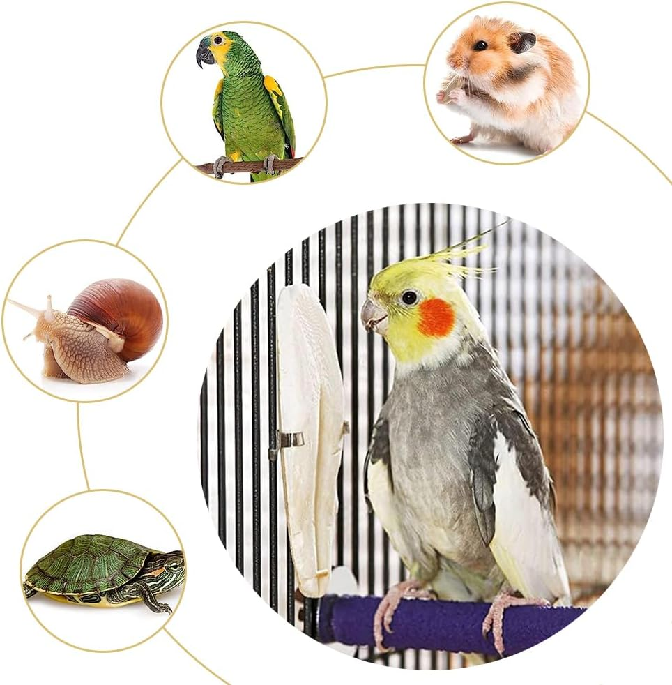 Natural Cuttlefish Bone 8 Pieces for Birds, Parrots and Turtles &ndash; Toys image number 3