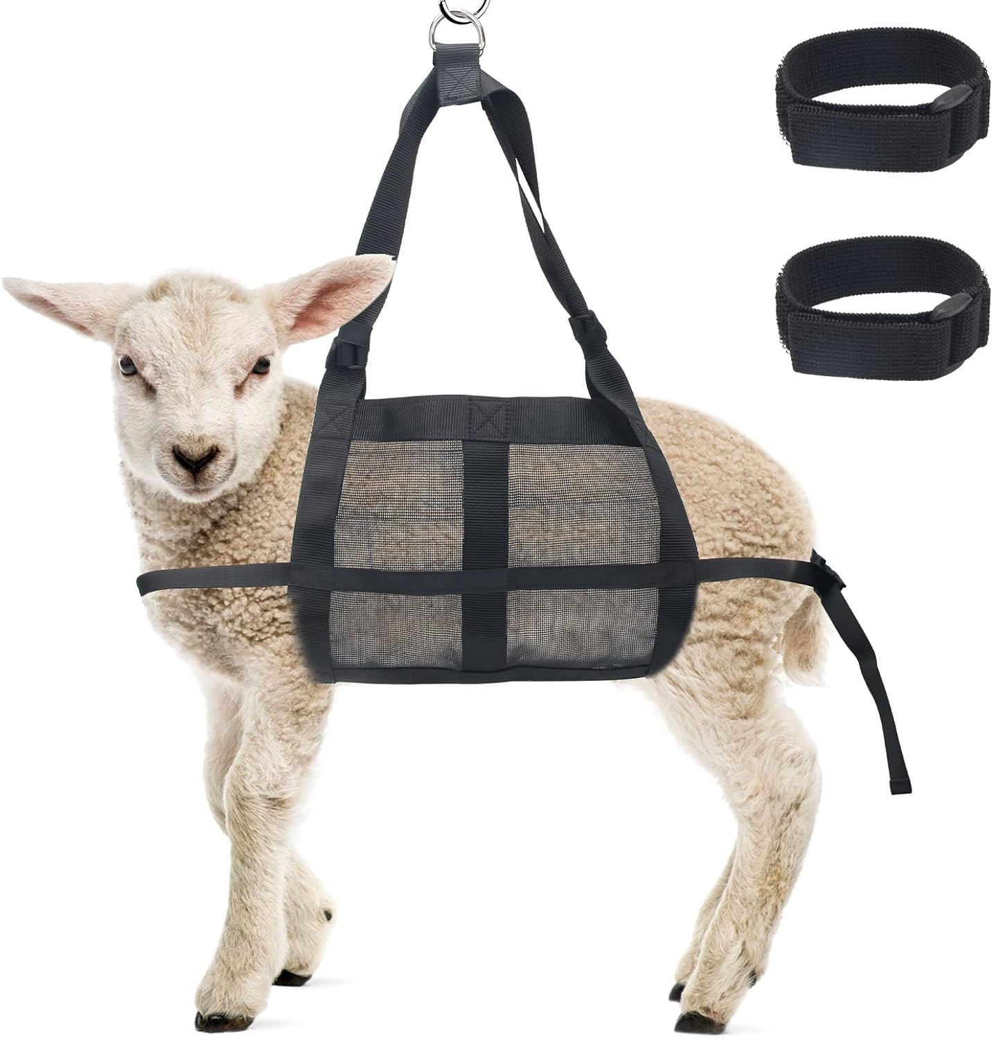 Calf Sling for Weighing Animals, Boyistar 300 LB Animal Weighing Sling for Calf Weight Small Animals, with 2 Reinforced Restraint Types image number 5