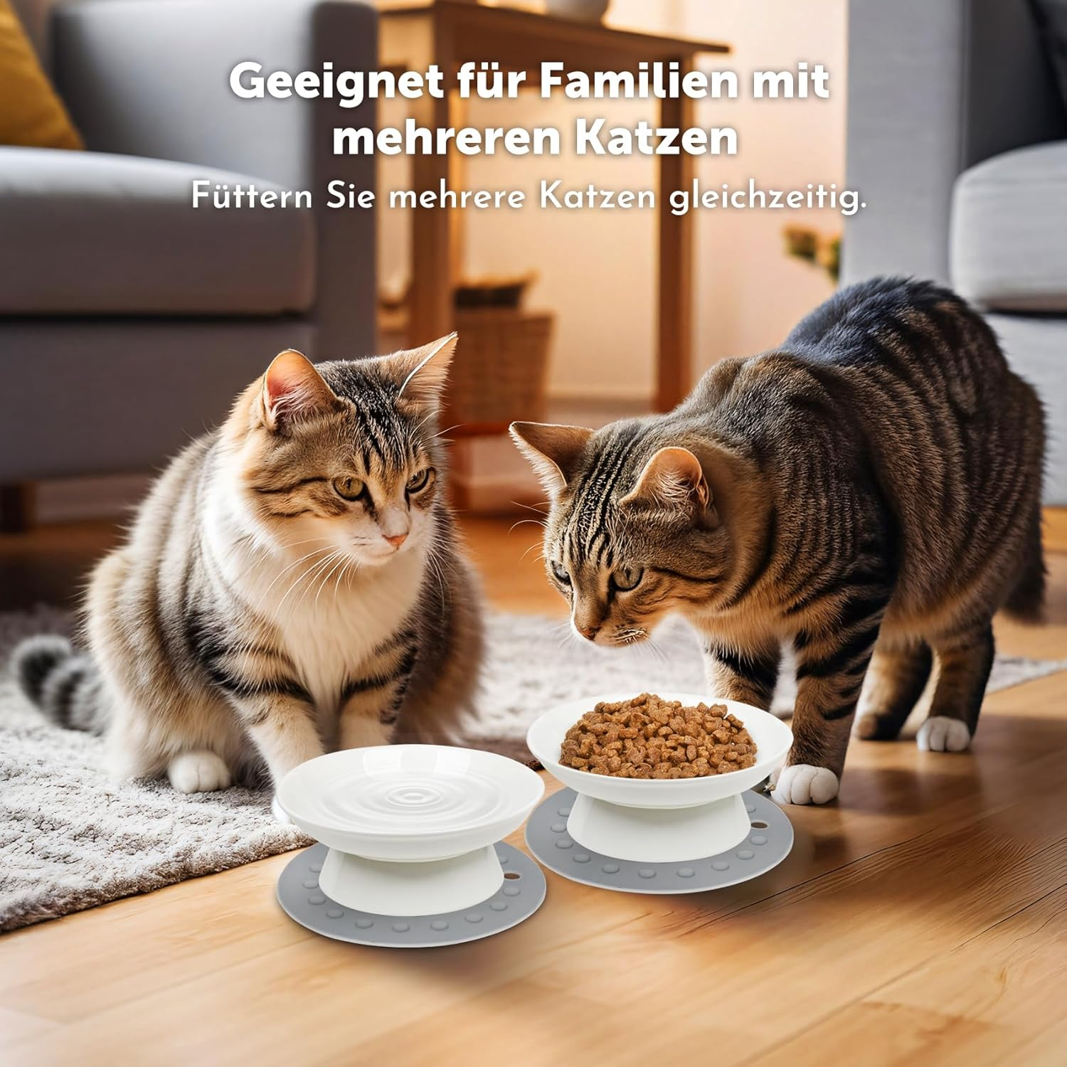 Cat Bowl, Pack of 2 Ceramic Feeding Bowls, Raised Cervical Protection, Cat Bowl, Feeding Bowl, Cat Raised Feeding Bowls, Cats for Cats with Water, Dry Food, Wet Food image number 1