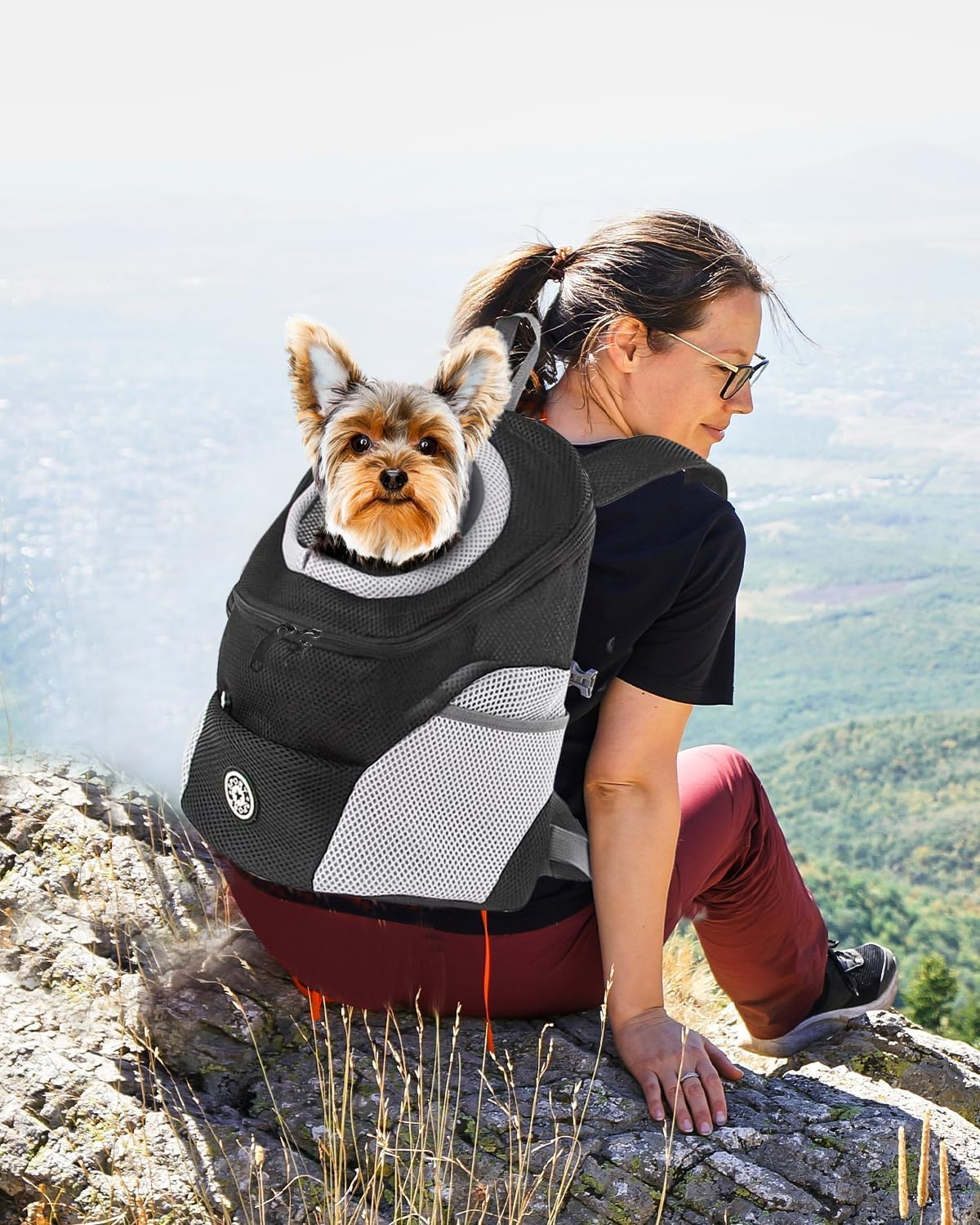 PETCUTE Dog Carrier Backpack, Adjustable Pet Backpack for Small Dogs and Cats, Padded Shoulder Strap, Waterproof Base, Breathable, Pet Front Pocket with Safety Hooks, for Hiking image number 2