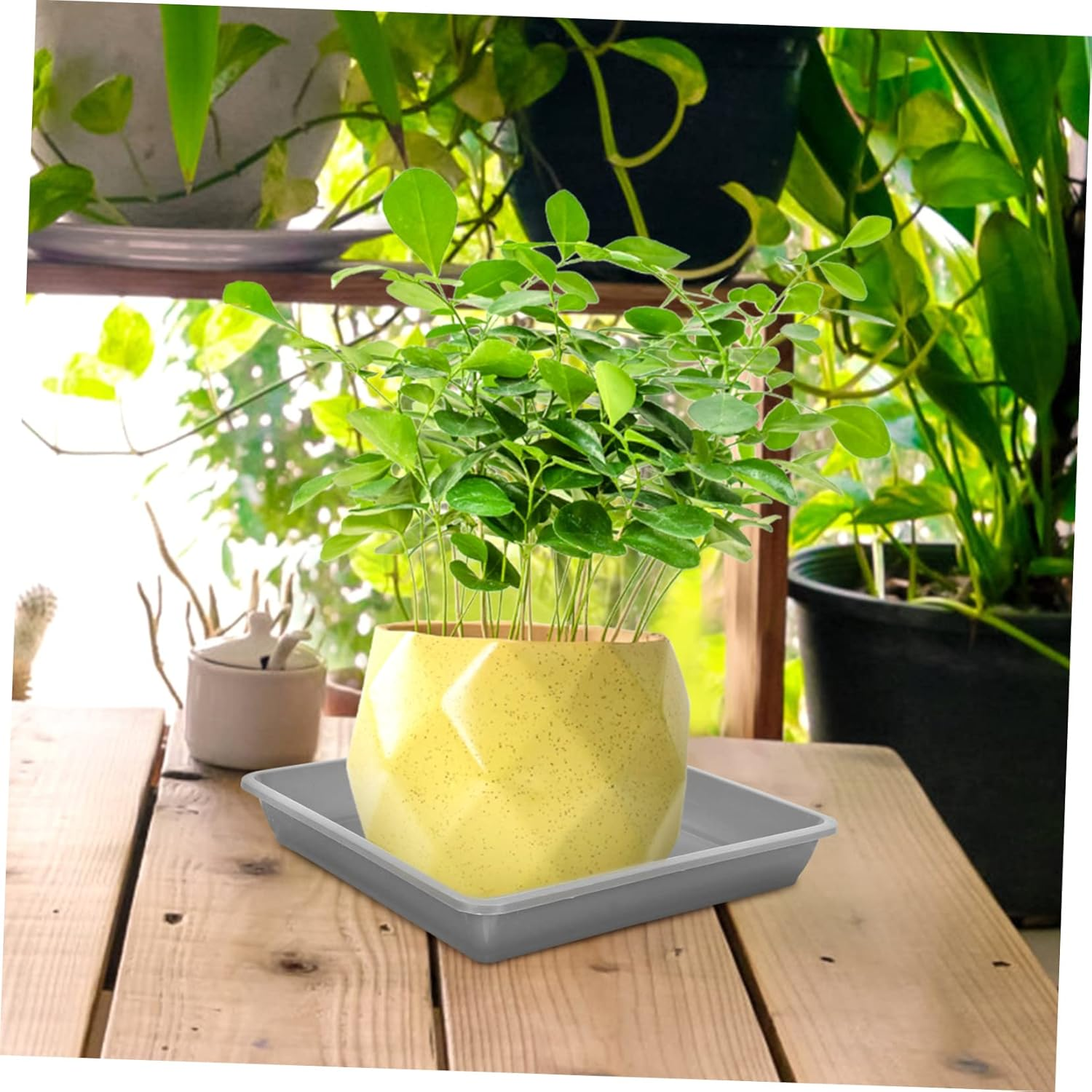 FUNOMOCYA 10Pcs Plastic Flowerpot Trays and Plant Pot Water Trays for Balcony Gardening, Square Thickened Flower Pot Bases 15Cm Grey, Drip Catcher Garden Supplies image number 3