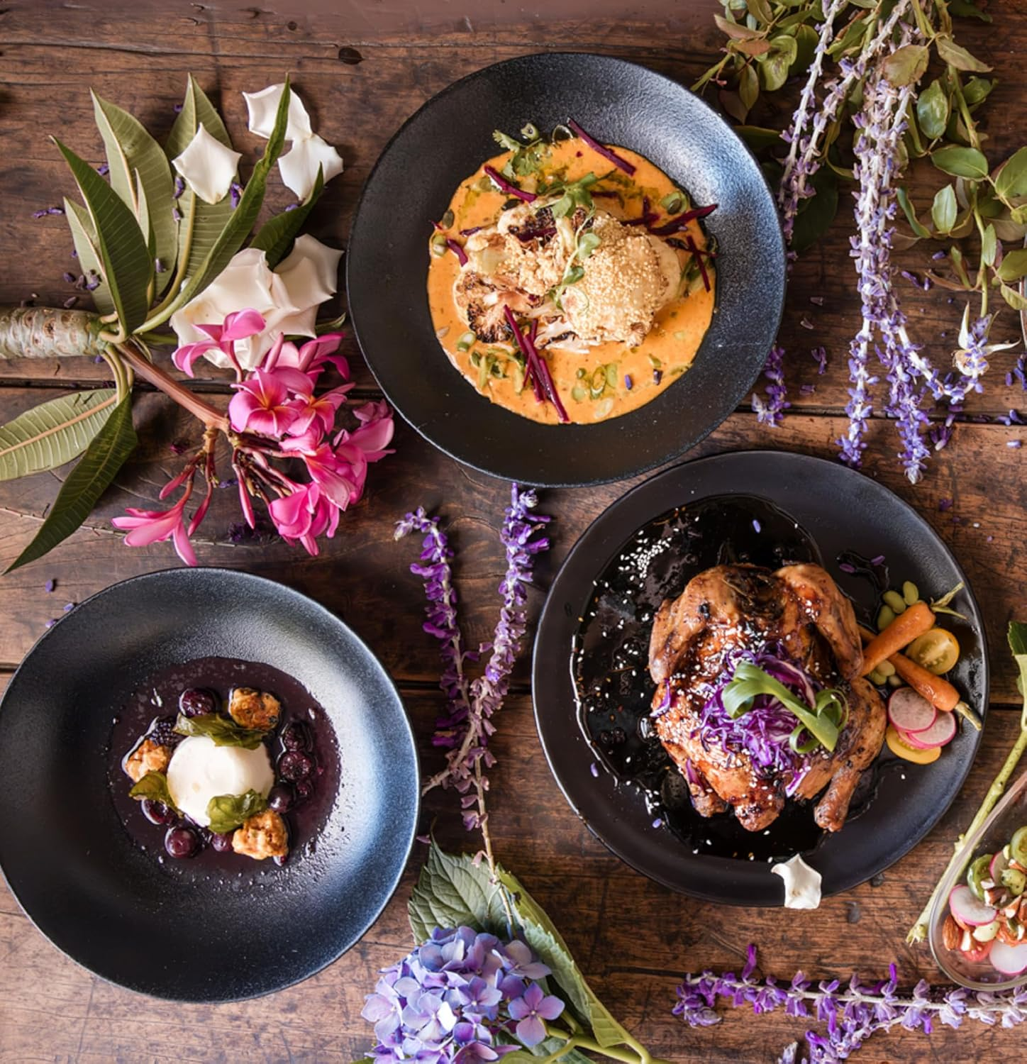 Allee Bleue Blue Owl Pinotage image number 1