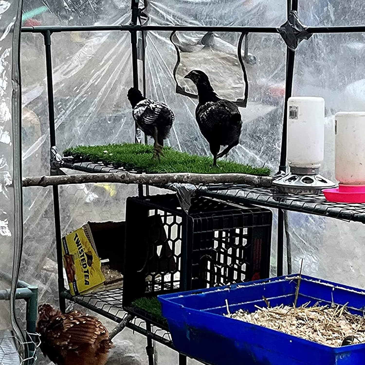 Washable Chicken Nesting Box Pads,6 PCS Reusable Nest Boxes Pad Chickens Coop Liners Bedding, Mat Accessories Liners for Hen Coop Egg Duck Reed Goose(30 X30X3 CM) image number 6