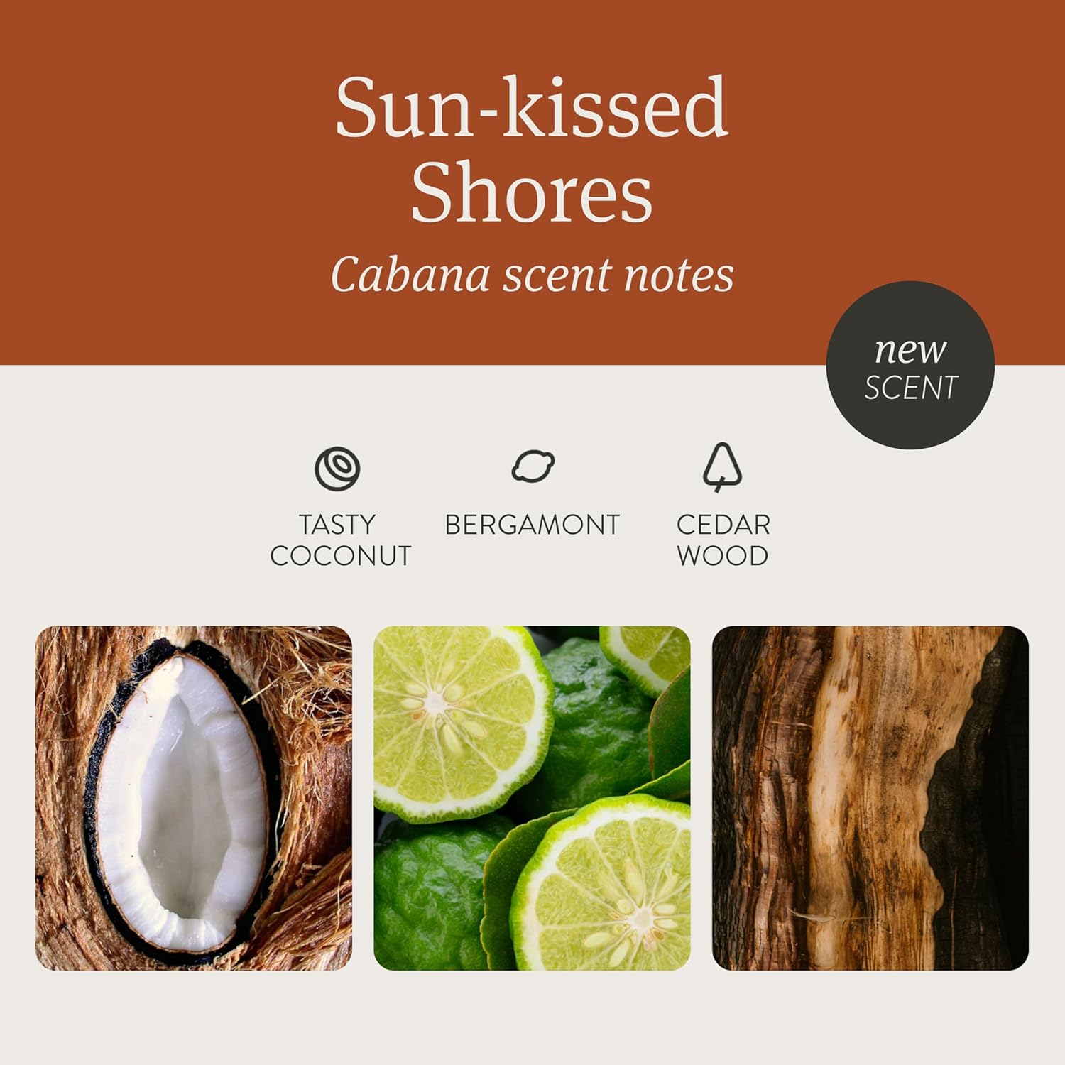 Drift Car Air Freshener - Wood Air Freshener - Car Odor Eliminator - Cabana Scent Starter Kit image number 4