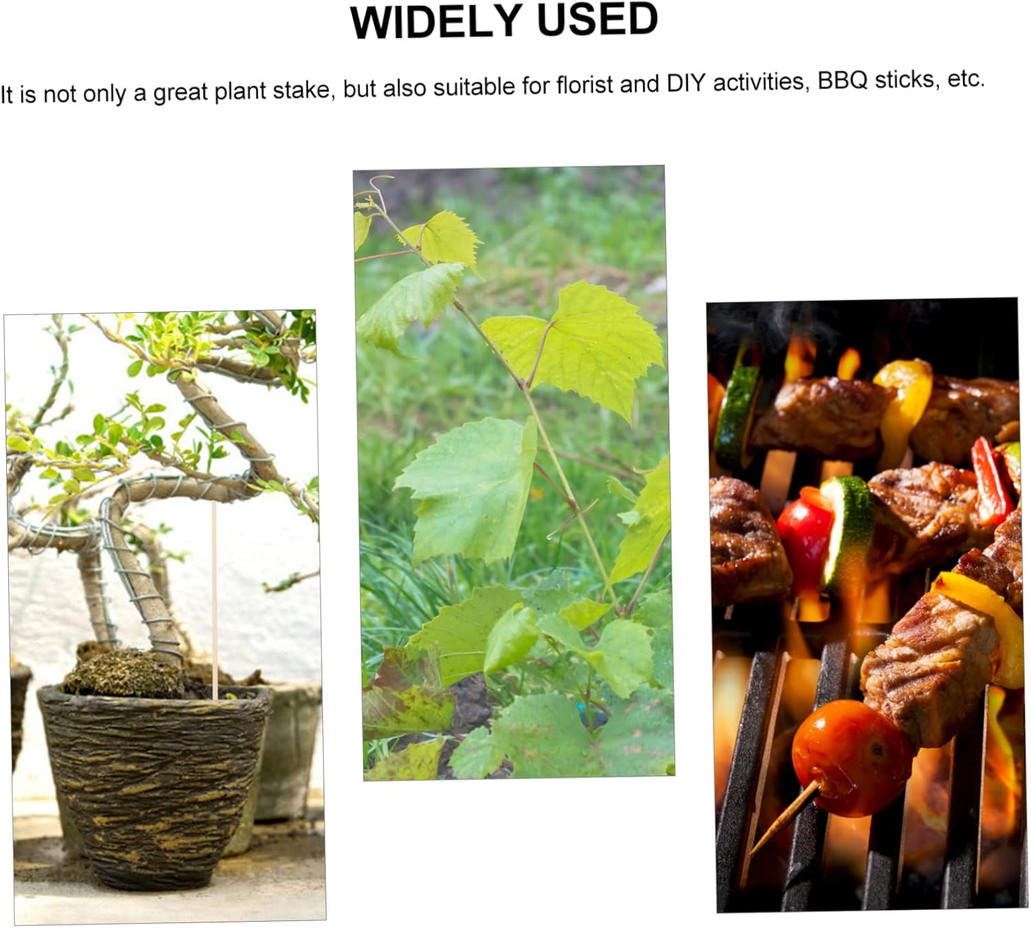 FUNOMOCYA 200Pcs Bamboo Sticks Garden Sticks Floral Plant Support Stakes Planting Supplies for Plant Growth Support DIY Gardening image number 1