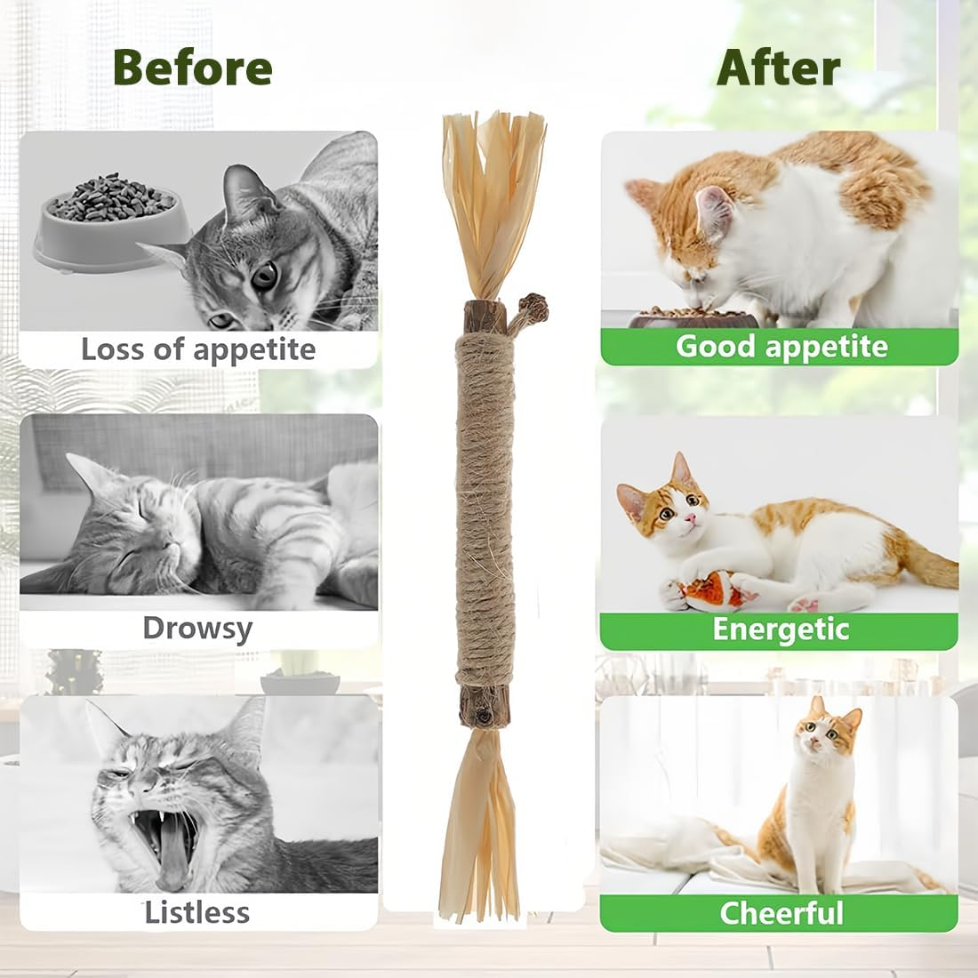 Catnip Sticks, Chew Sticks for Cats, Cats Dental Care Toy, Dental Chew Sticks Help with Tartar & Bad Breath Healthy Hygiene Dental Care (Pack of 6) image number 1