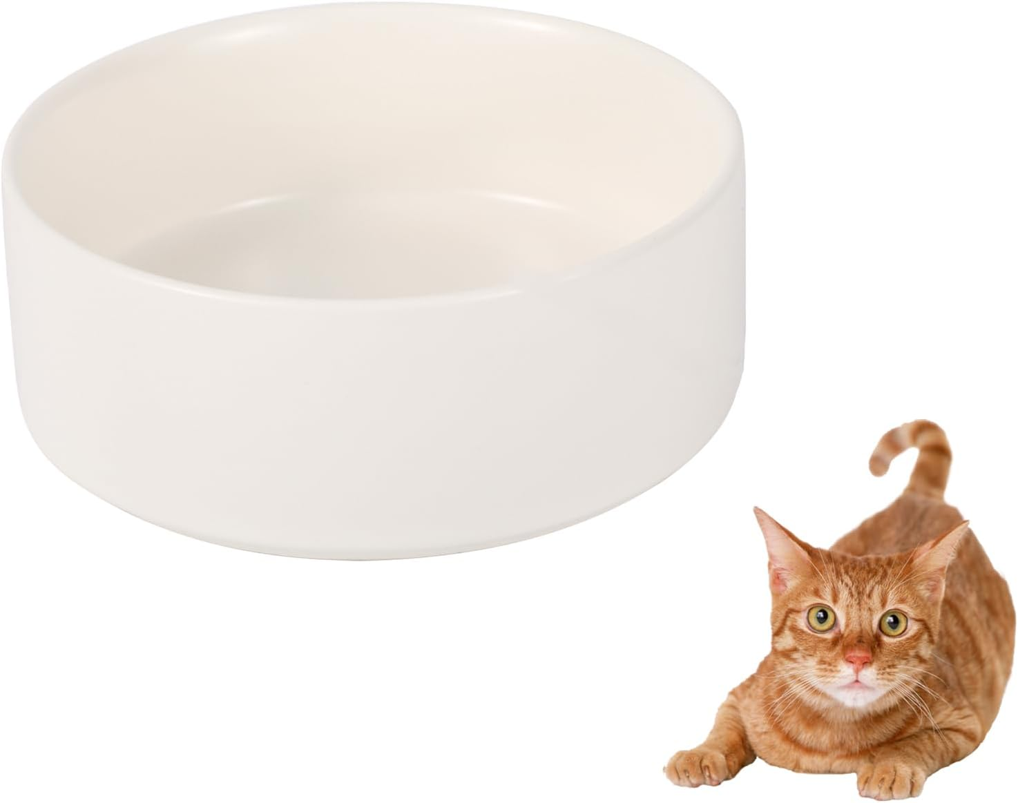 Ceramic Cat Bowl - Whisker Friendly Feeding and Water Bowl for Cats and Small Dogs - Heavy Anti-Tip Over, Spill Proof Pet Dish - 16.23 Oz / 480 Ml - White image number 4