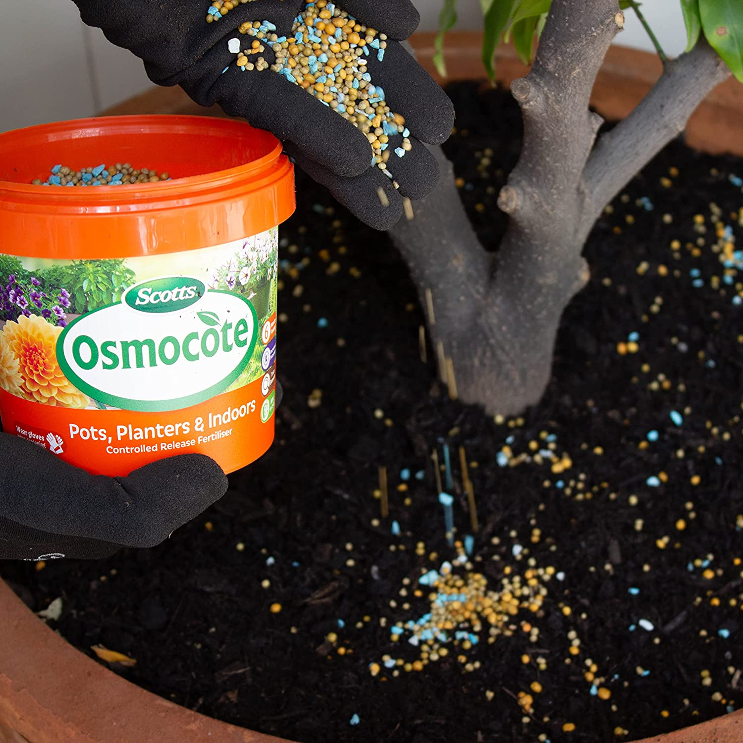 Scotts Osmocote Pots, Planters and Indoor Controlled Slow Release Fertiliser 700G