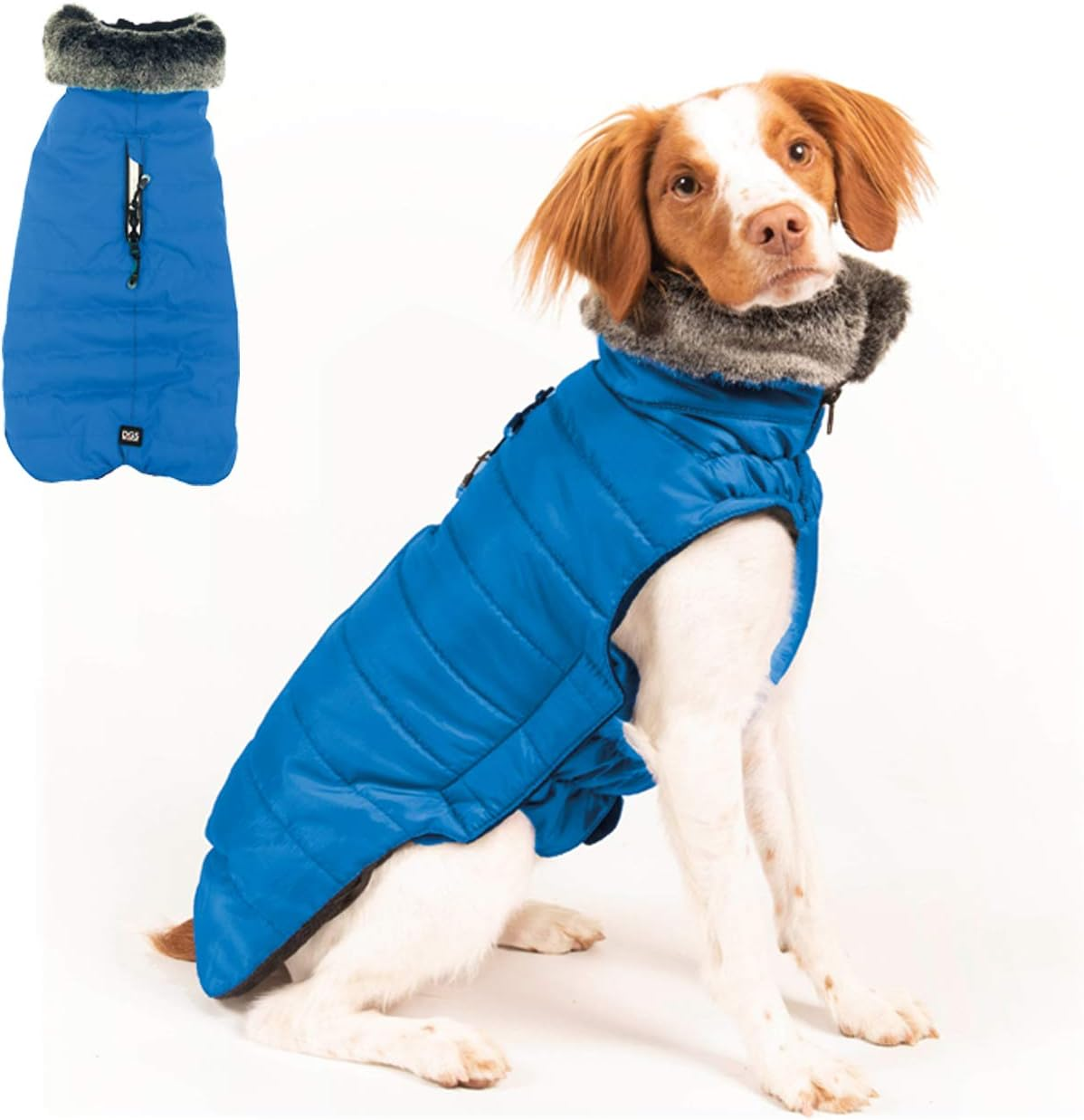 DGS Hemlock Dog Dress Blue