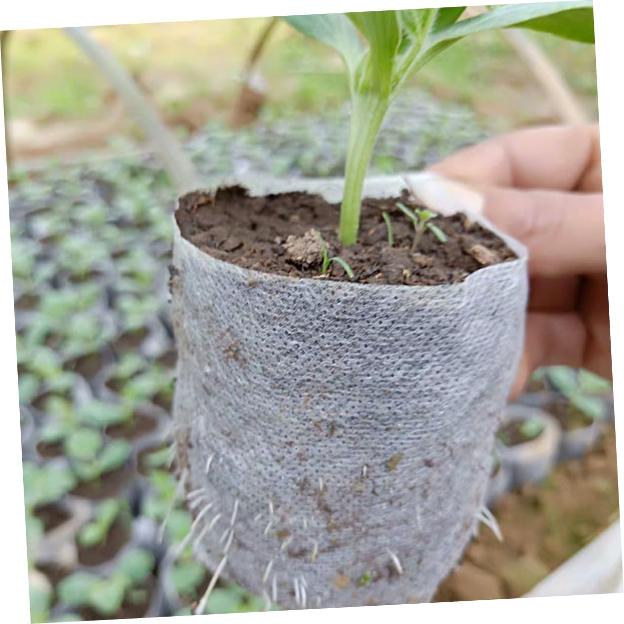 Grow Bags Set 209Pcs Fabric Planters for Plants Non-Woven Nursery Bags Versatile for Gardens image number 4