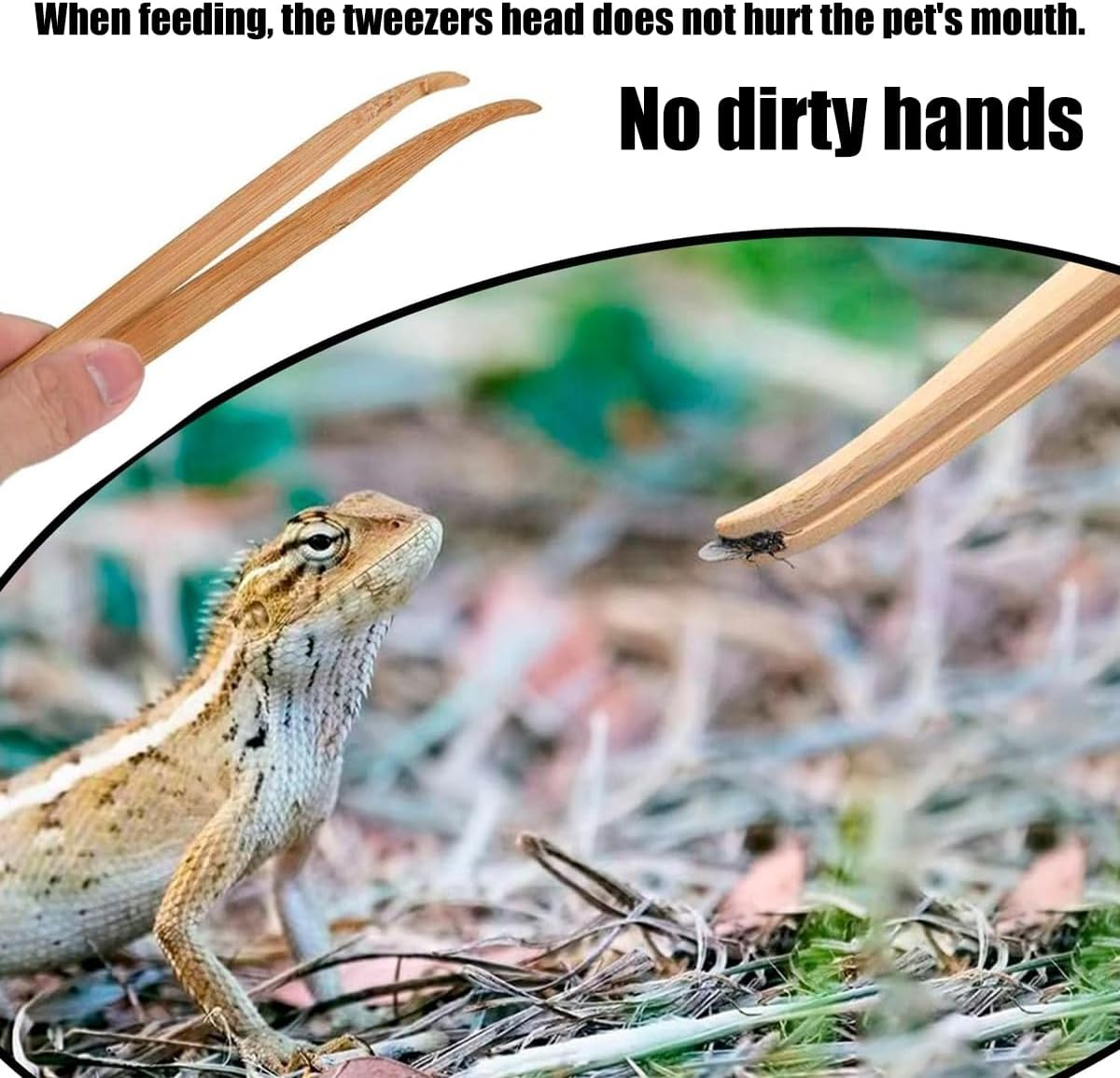 AIMALL Natural Bamboo Reptile Feeding Tweezers for Pets &ndash; 6.49" Handcrafted Precision Tool image number 1