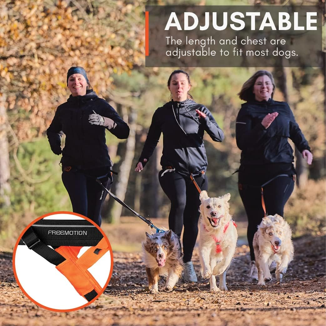 Non-Stop Dogwear Freemotion Harness 5.0 Dog Pulling Harness for Sports like Running, Biking and Skiing with Dogs, Professional Adjustable Dog Harness, Orange/Black, Size 4