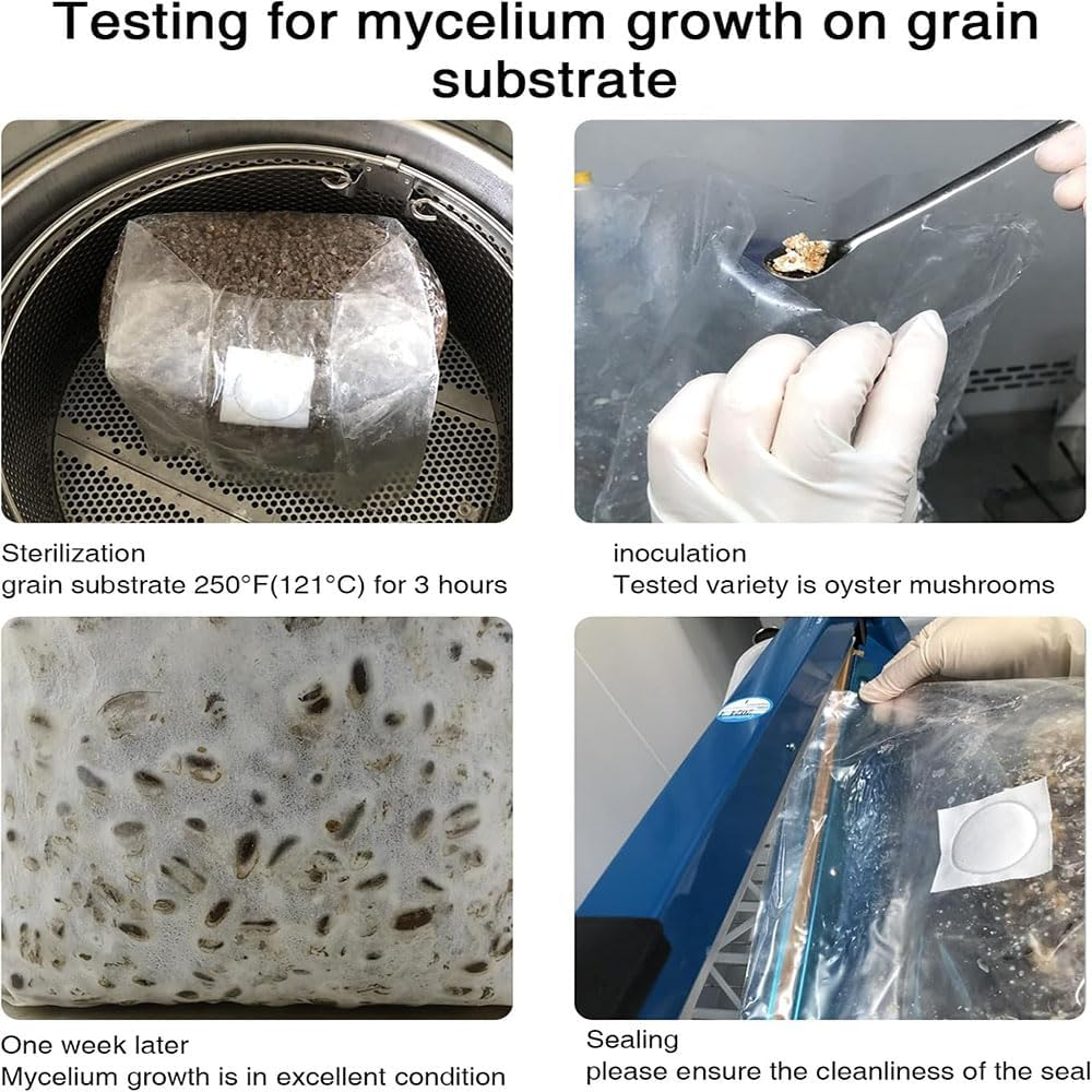 Lyhaogao 25 Pcs Small Mushroom Transparent Grow Bags with Breathable Membrane,Space Efficient Indoor Gardening Cultivation Supplies for Optimal Airflow and Healthy Mushroom Growth