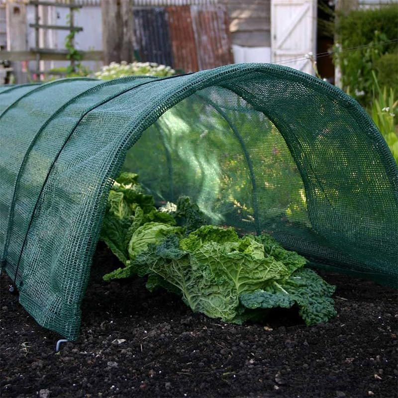 AIMALL Outdoor Agricultural Transparent Plastic Film for Vegetable Planting &ndash; Small Arch Film, Cold-Proof Insulation Film for Greenhouse &ndash; Available in Black, PE, and Green - Black image number 5