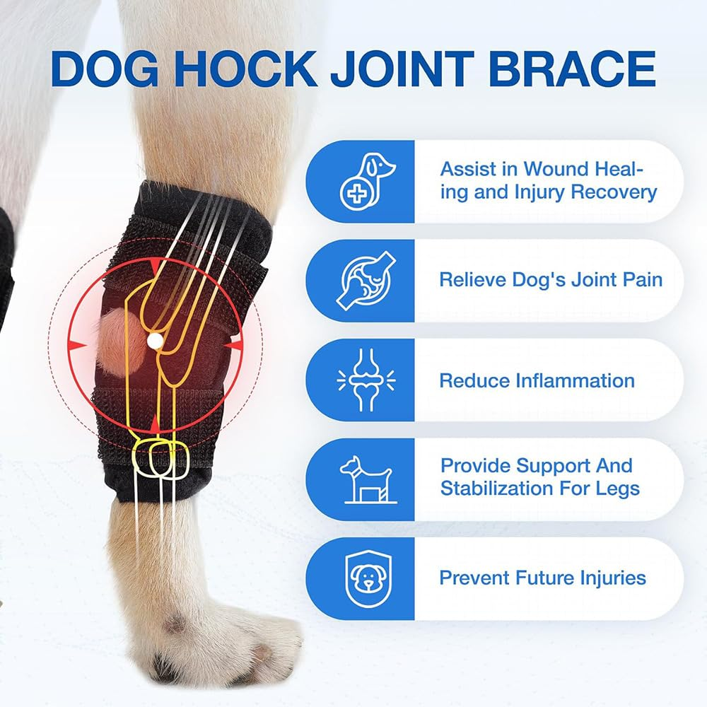 Rear Leg Hock Brace, Dog Knee Brace with Metal Strips, Hock & Ankle Support Back Leg for Canine Torn, Dog Leg Sleeve for ACL & CCL Injury and Sprain Protection (S, Black)