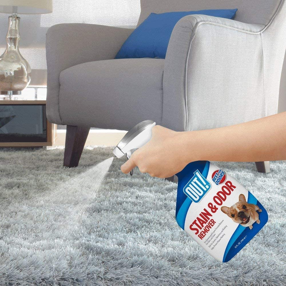 Out! Stain and Odor Remover, 750 Ml image number 1