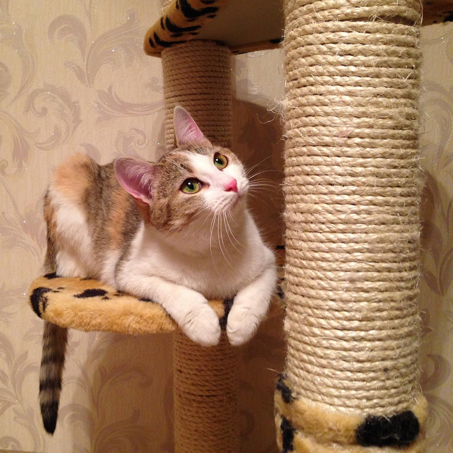 5MM Jute Rope, 100 Feet 6Ply Twisted Heavy Duty and Thick Twine Rope for Crafts Projects Cat Scratcher Scratching Post Tree Gift Wrapping Arts & Crafts Home Decoration Packing Christmas Twine Bulk image number 4