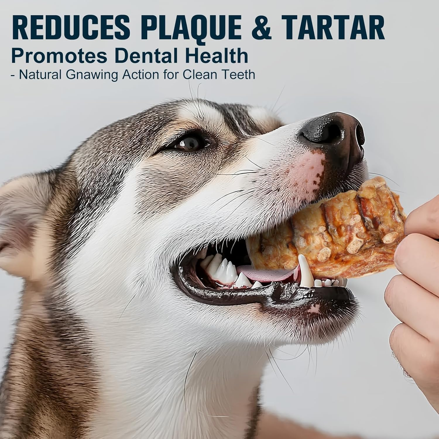 Natural Beef Spine Bone for Dogs-Long Lasting Dental Chew, Rawhide-Free & Digestible Dog Treats,Single Ingredient Grass-Fed Beef image number 1