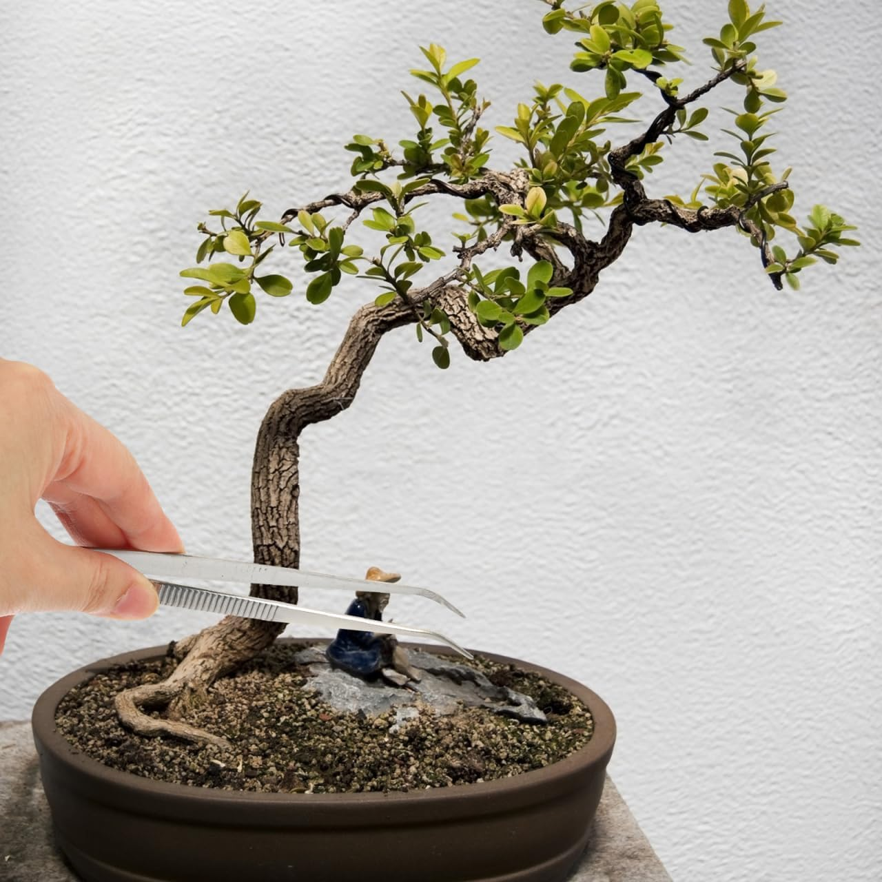 GANAZONO 2Pcs Bonsai Multipurpose Tool Succulent Rake Straight Bonsai Succulent Rake Aquascaping Tool Kit Bonsai Curved Tip Tools Aquarium Stainless Steel image number 5