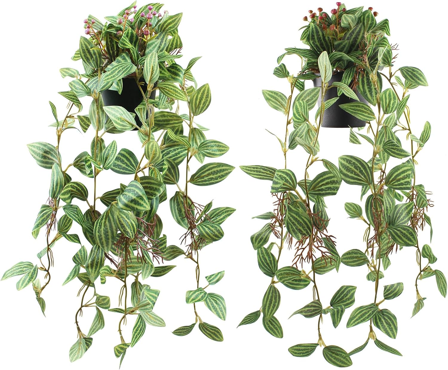 2 Pcs Artificial Hanging Plants Realistic Watermelon Texture with Flower Buds Fake Potting Leaves Faux Peperomia Vine Green Plants for Indoor Outdoor Home Garden Decor