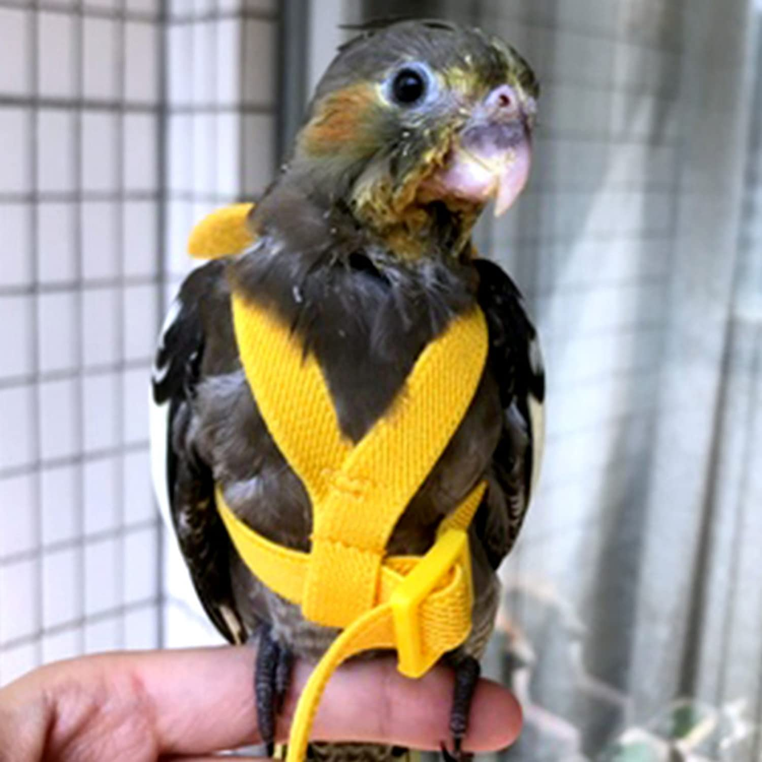 Adjustable Pet Parrot Bird Harness Lead Leash Flying Training Rope Cockatiel (Yellow) - Blue image number 3