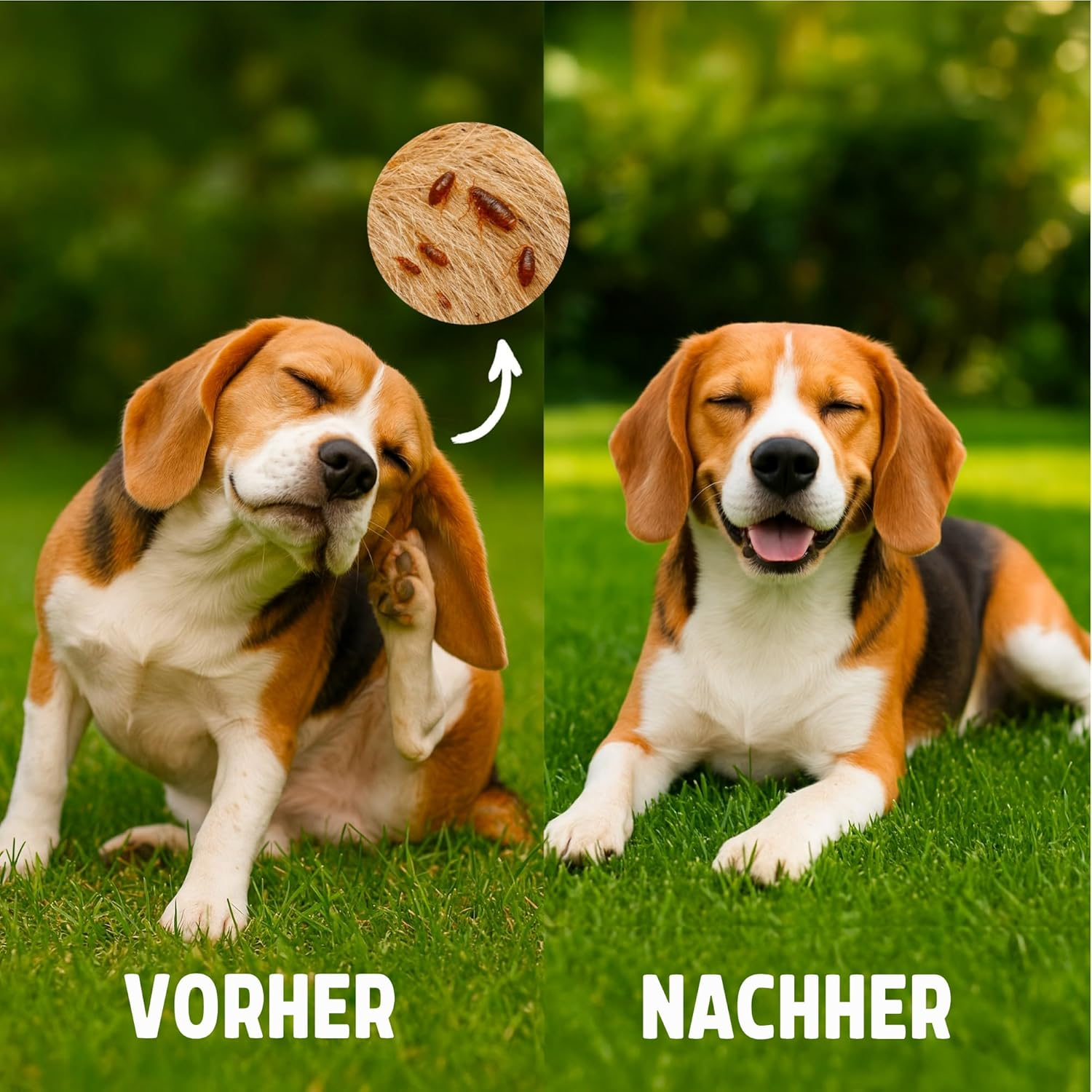 Rosewood Flea Comb for Dogs and Cats - Fine Flea and Egg Removal Comb - Black - for Targeted Care of Sensitive Areas image number 3