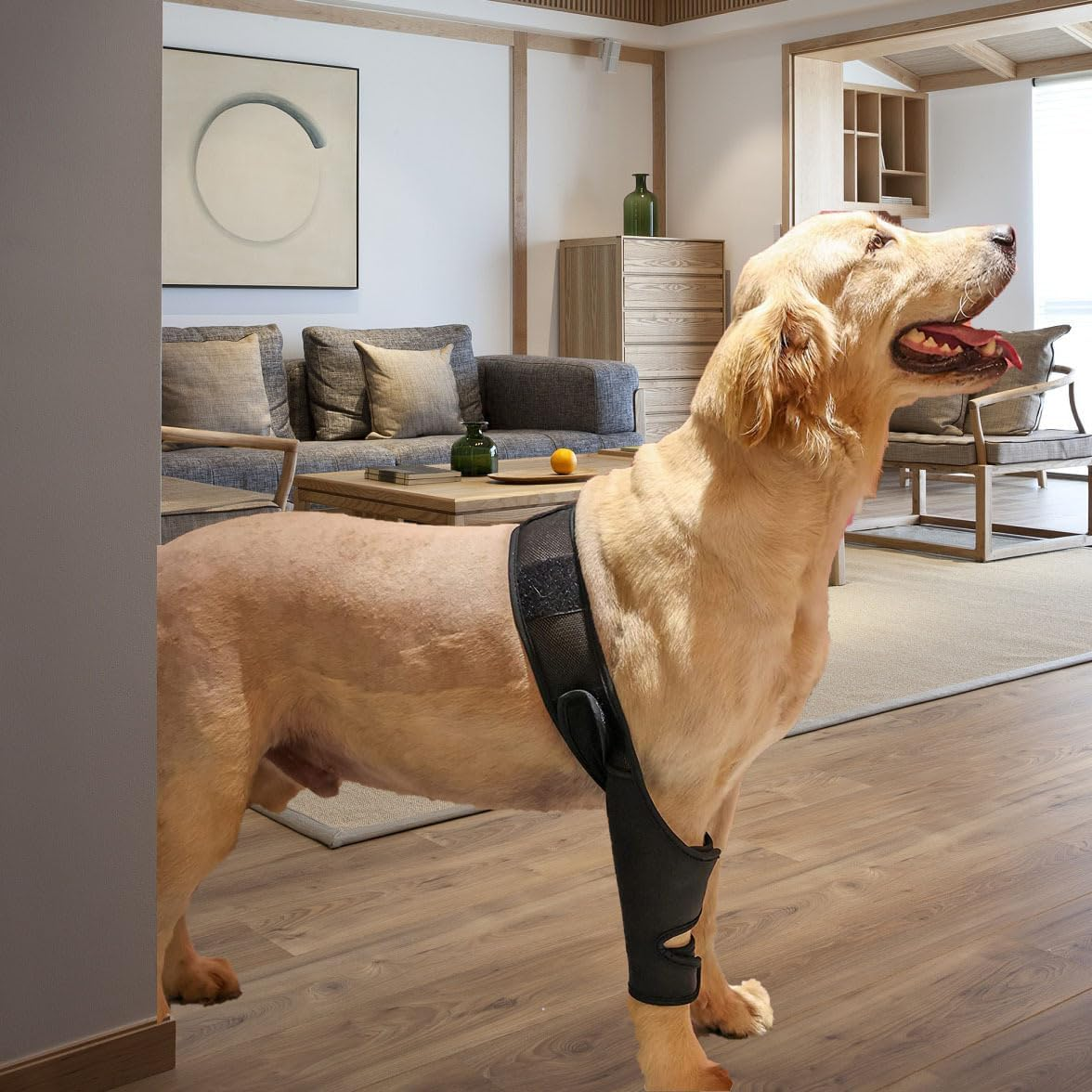 Dog Elbow Brace Protector Pads for Canine Elbow and Shoulder Front Leg Support for Dysplasia, Osteoarthritis, Elbow, Pressure Sores, Shoulder Dislocation (Black, M) image number 4