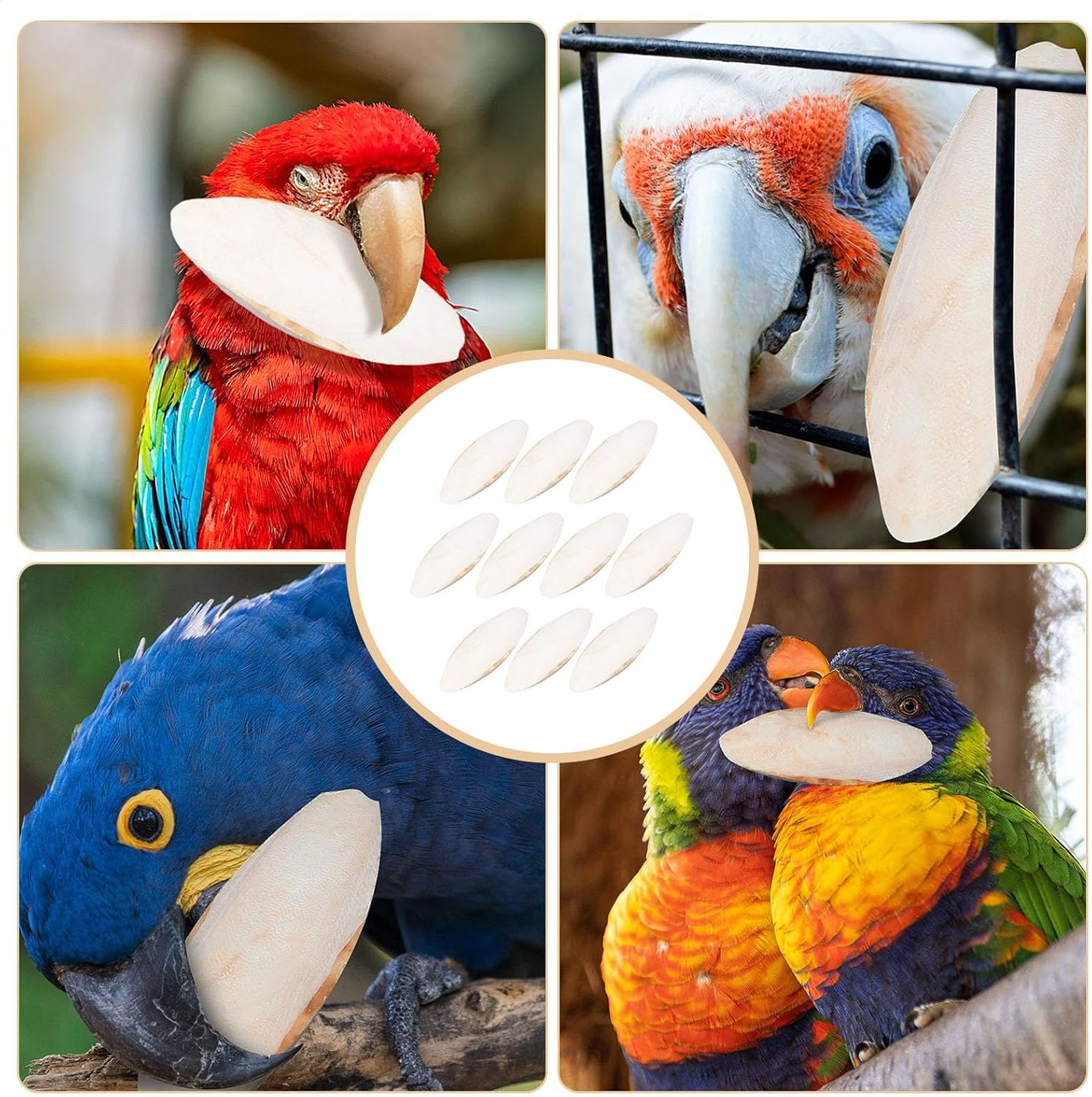 Parrot Bite Toy, Nymphin Feed Shaving Toy, Natural Cute Bone Restraint Tool for Small Parrots and Birds, Hope Parrot Bite Bone, Cute for Birds, Badge, Nymphen Sit