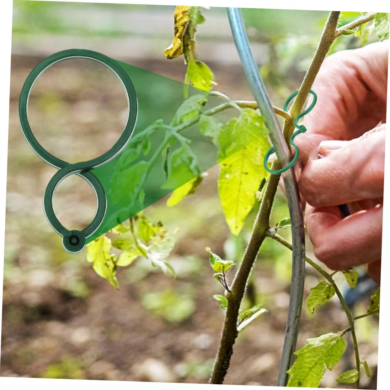 VINTORKY 150Pcs Plastic Plant Climbing Clips for Vine Support Secure Outdoor Garden Bonsai Flower Stem Holder Reusable Gardening Plant Clip image number 2