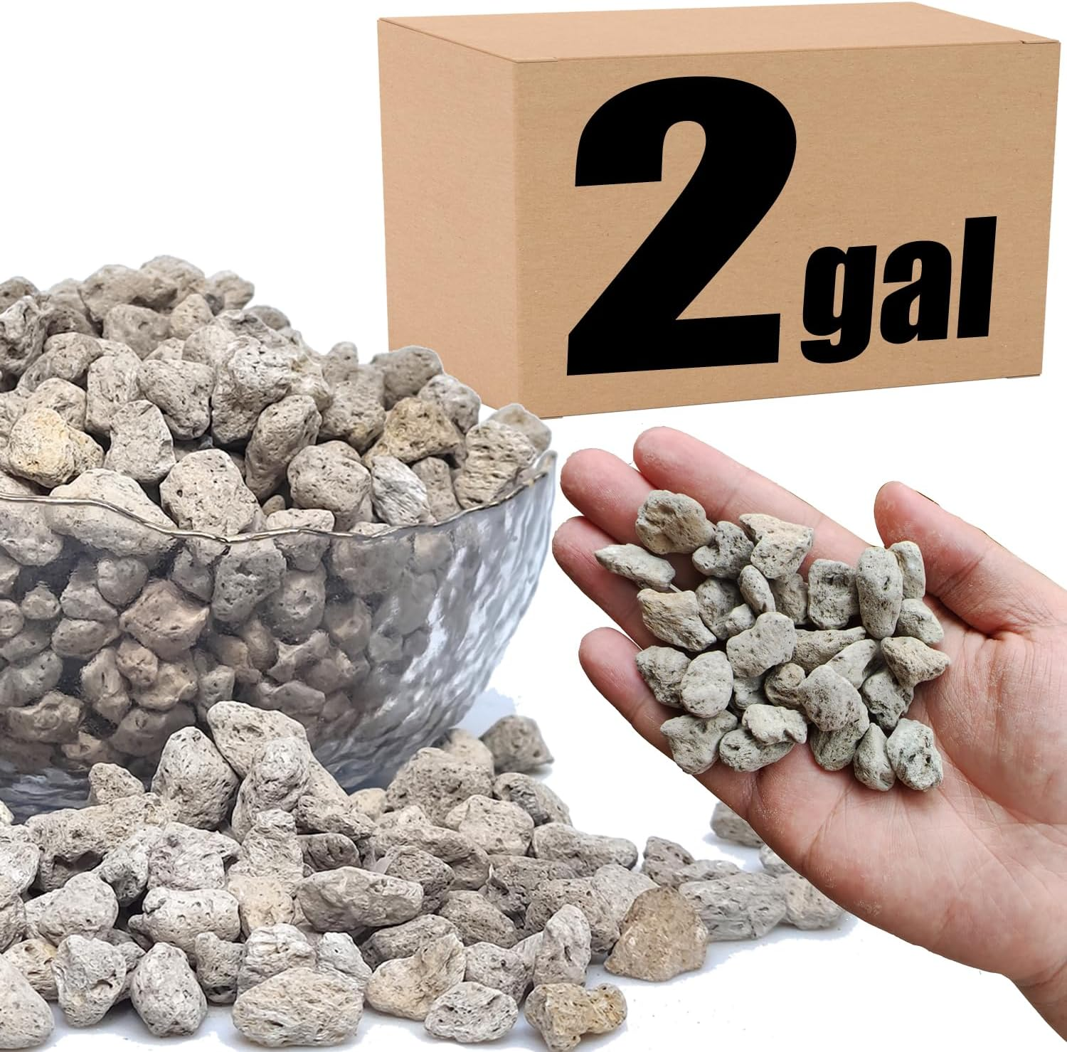 Organic Pumice for Bonsai and Horticultural 100% Natural (1 Gallons, 1/2 Inch)