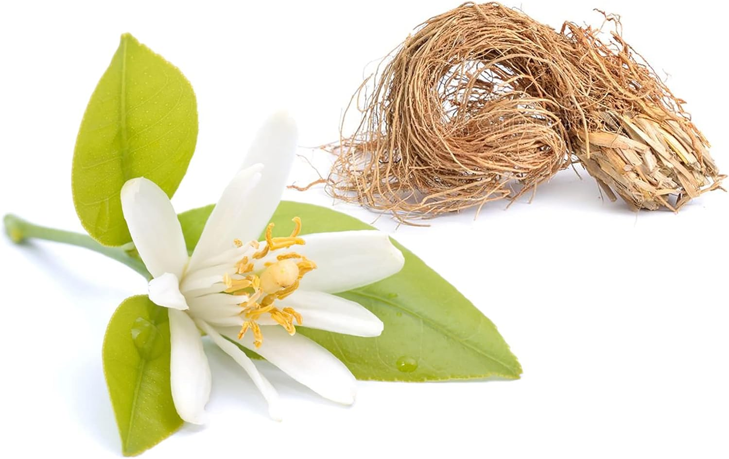 Derek Lam Rain Day Spring 20 for Women 3 Pc Gift Set 3.4Oz EDP Spray, 10Ml EDP Spray, 8Oz Fragrance Mist