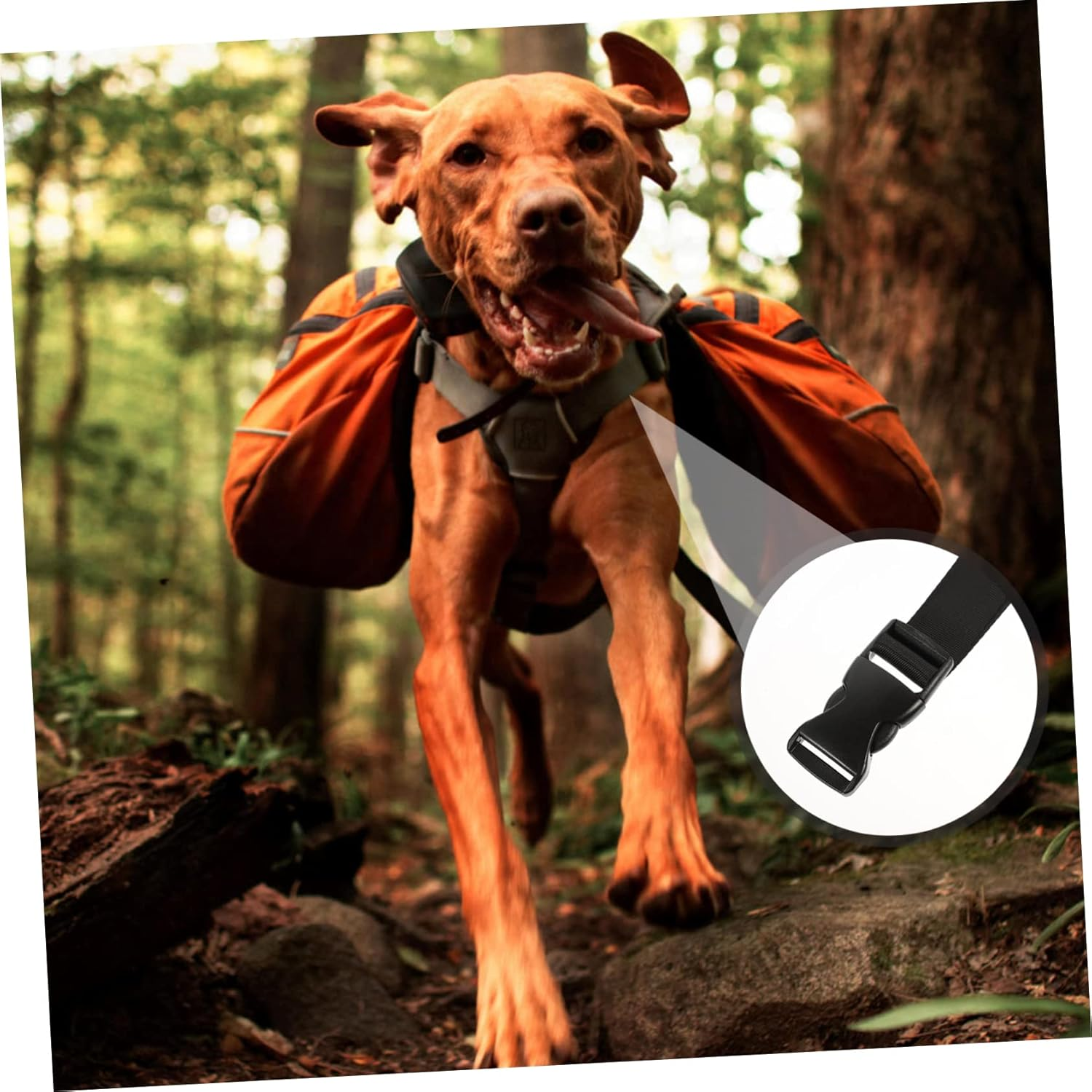 Yardenfun Travel Suitcase Straps Fixing Accessories Professional Buckle Webbing Belt