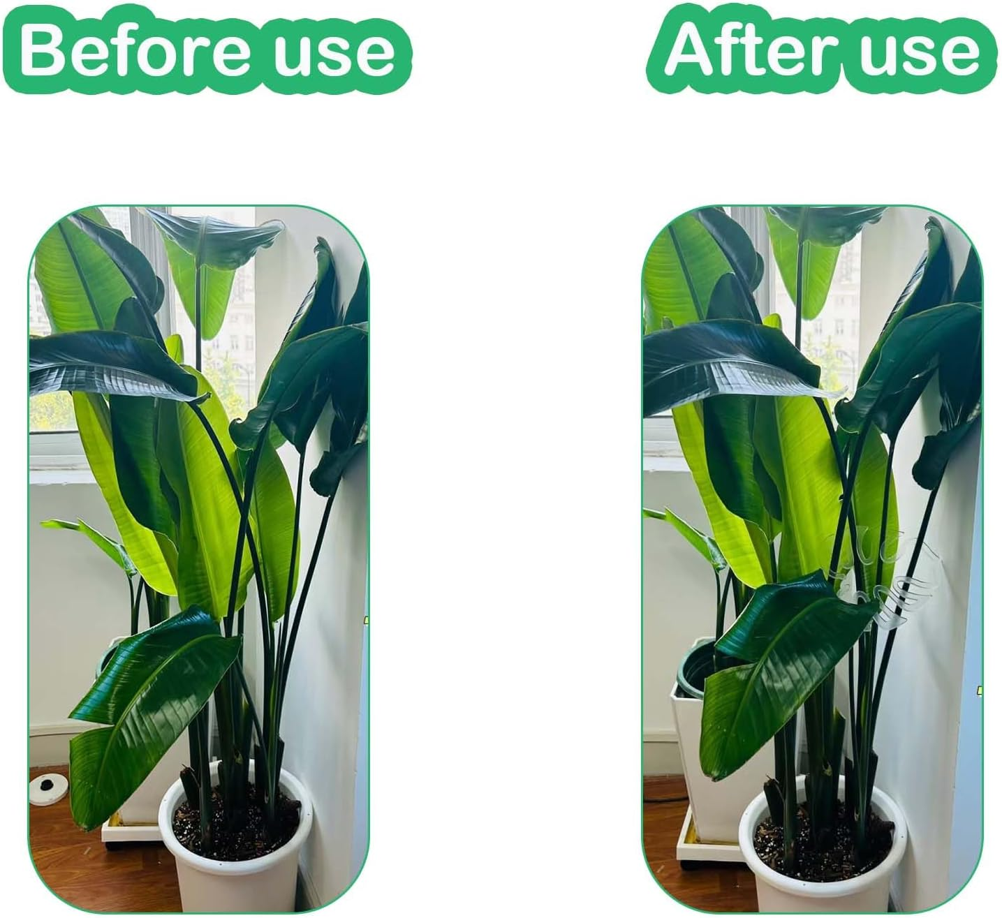 2Packs Leaf Plant Support for Monstera - Aesthetic Bamboo Clamp Set with Support Rings, Unique Plant Stakes for Vertical Growth | Durable 2-Piece Plant Support System image number 6