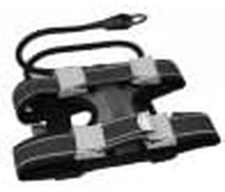 Cesar Millan Pack Leader Collar&trade; - Training Collar of the Dog Whisperer (Large, Blue)