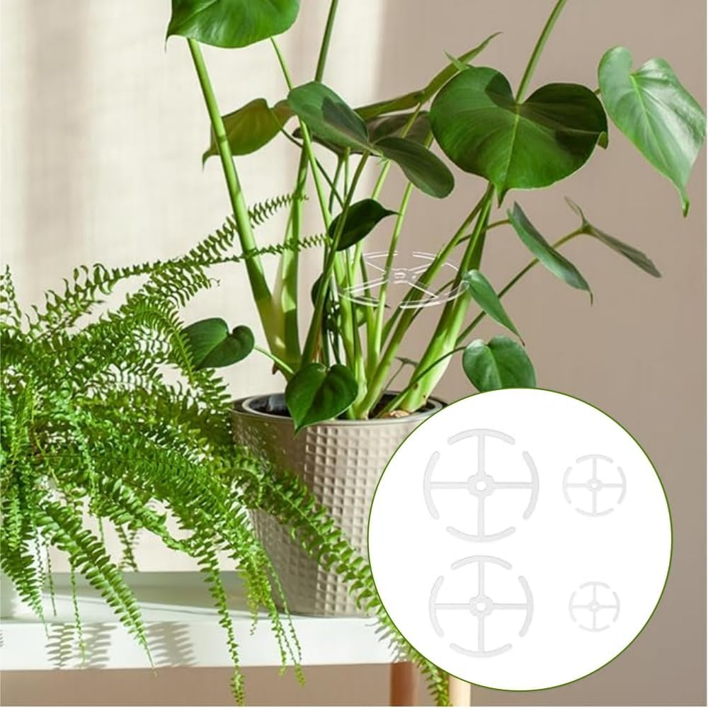 4Pcs Alocasia Plant Climbers Stem Holders, Plastic Climbing Houseplant Stem Supports,Reusable Plant Stem Hook,Growth Sticks Accessories for Climbing Plant,Indoor Plant Stakes image number 3