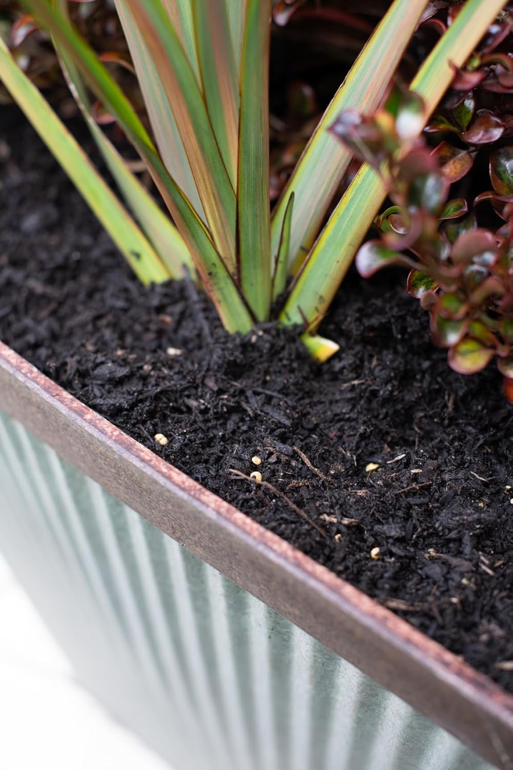 Debco Premium Potting Mix 25 Litre