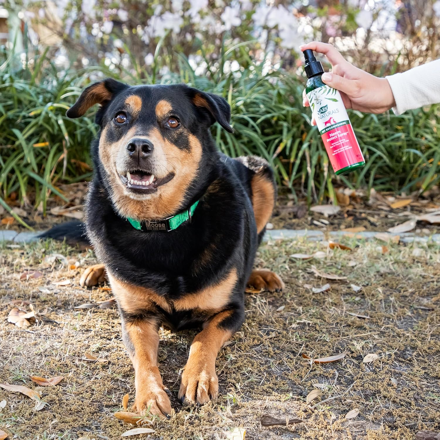 Ark Naturals Neem Protect Spray for Dogs and Cats, Soothes Irritated Skin and Relives Itching Due to Ticks and Fleas, Gentle Natural Ingredients, 8 Oz. Bottle image number 2