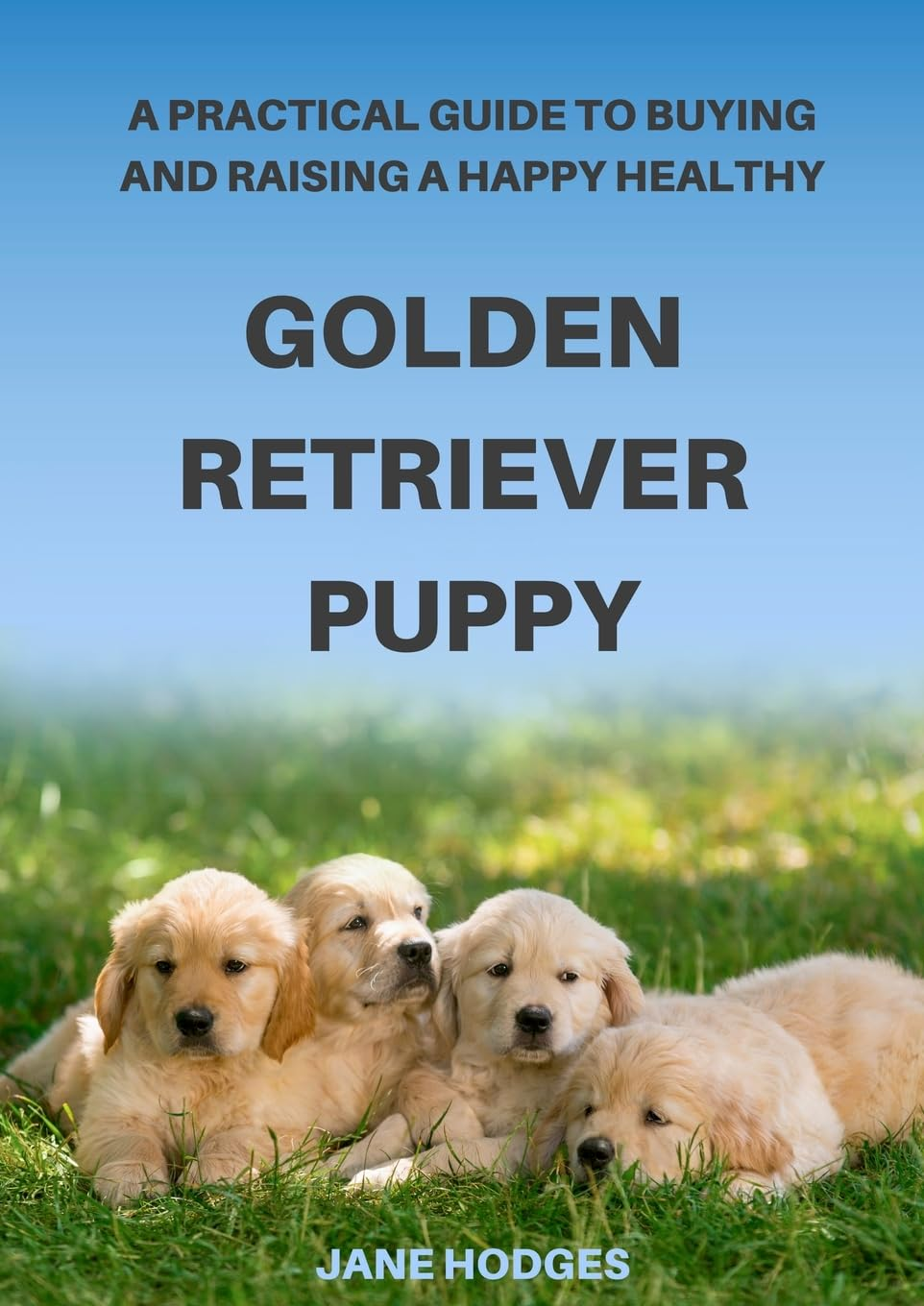 A Practical Guide to Buying and Raising a Happy Healthy Golden Retriever Puppy image number 1