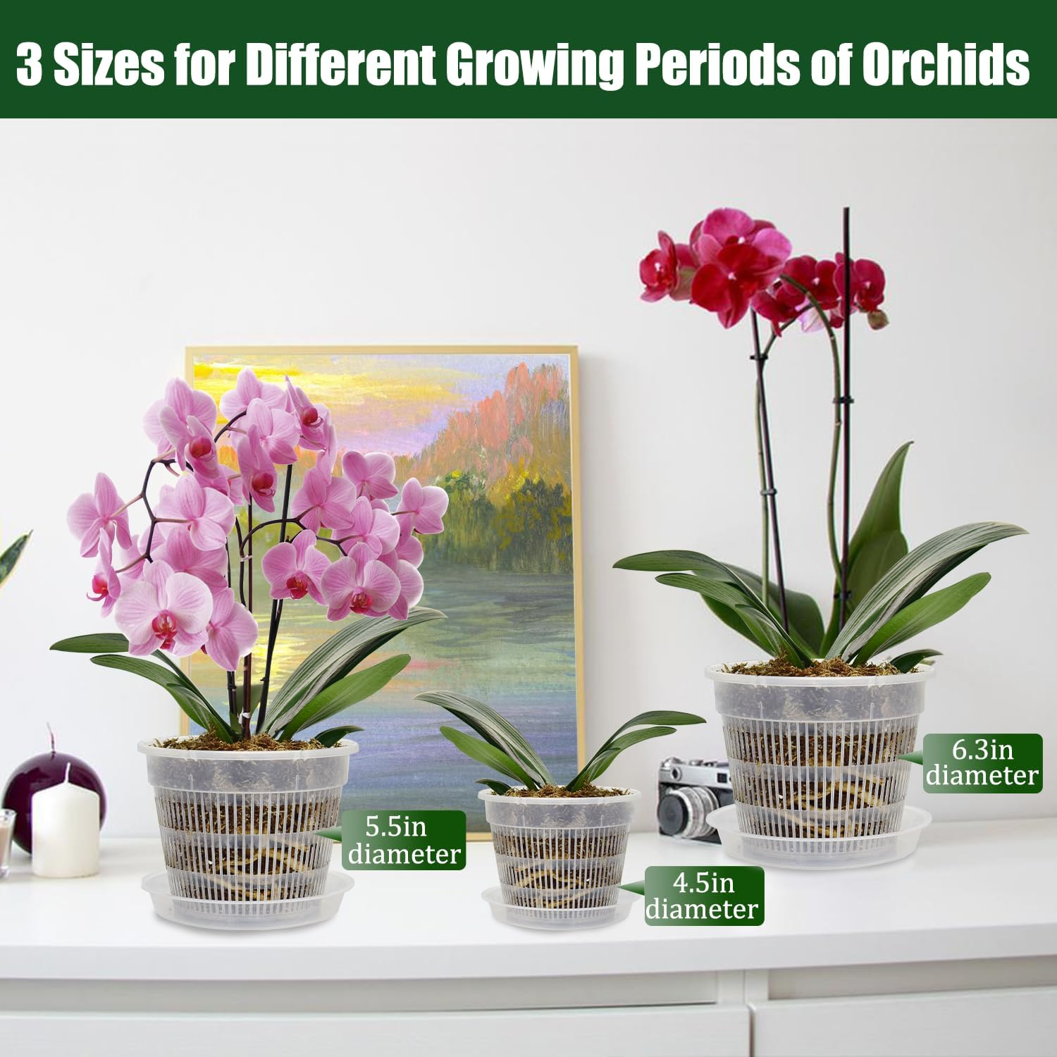 12 Pack Orchid Pot with Saucers, 4 Each of 4.5In, 5.5In and 6.3In Orchid Pots for Repotting, Clear Orchid Pots with Holes, Plastic Flower Plant Pot image number 5